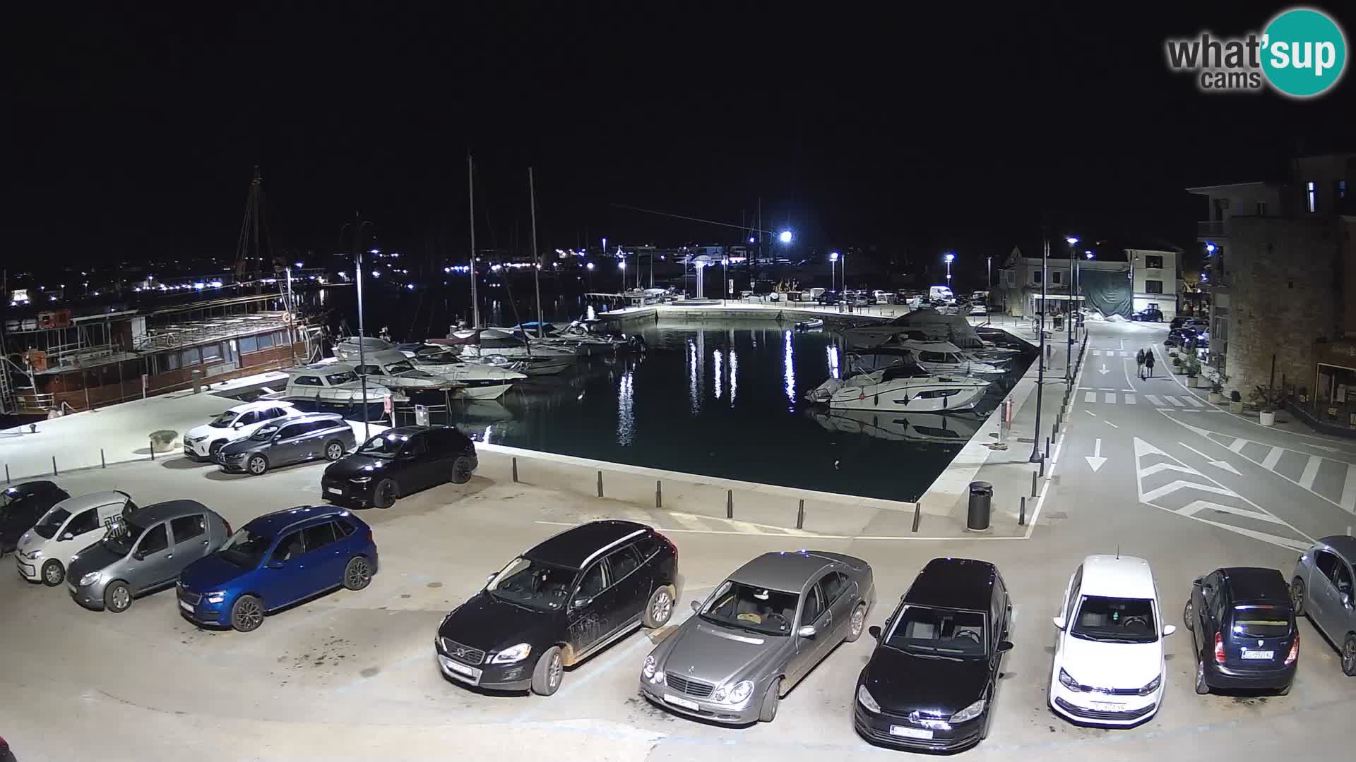 Novigrad | Porporela marina