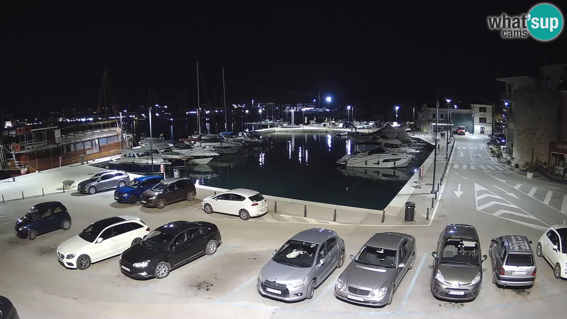 Novigrad | Porporela marina