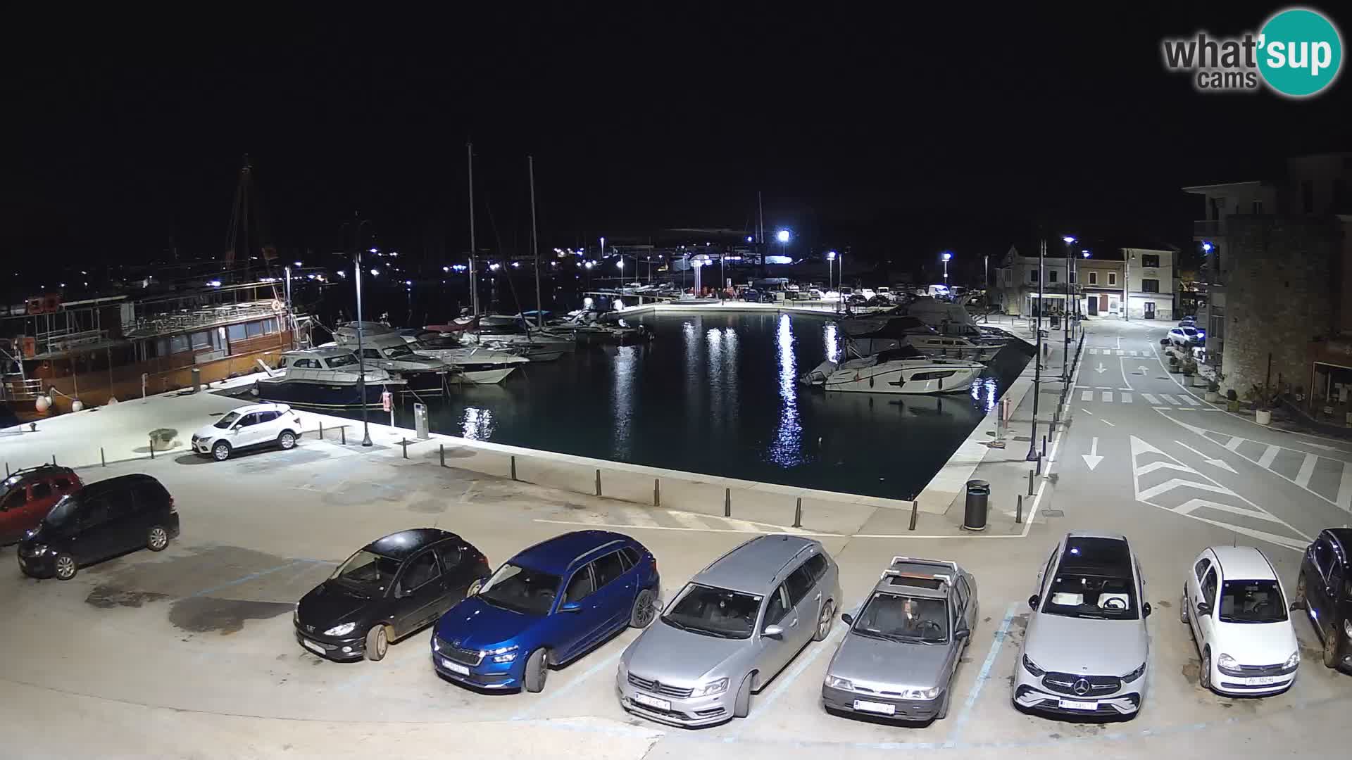 Novigrad | Porporela marina