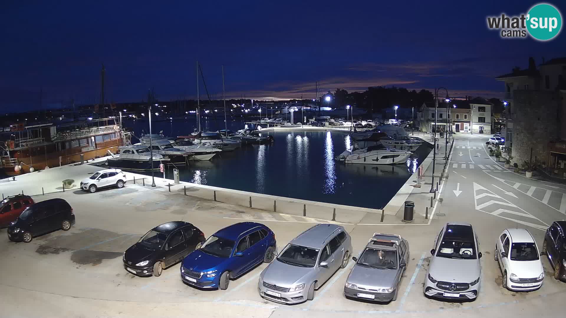 Novigrad | Porporela marina