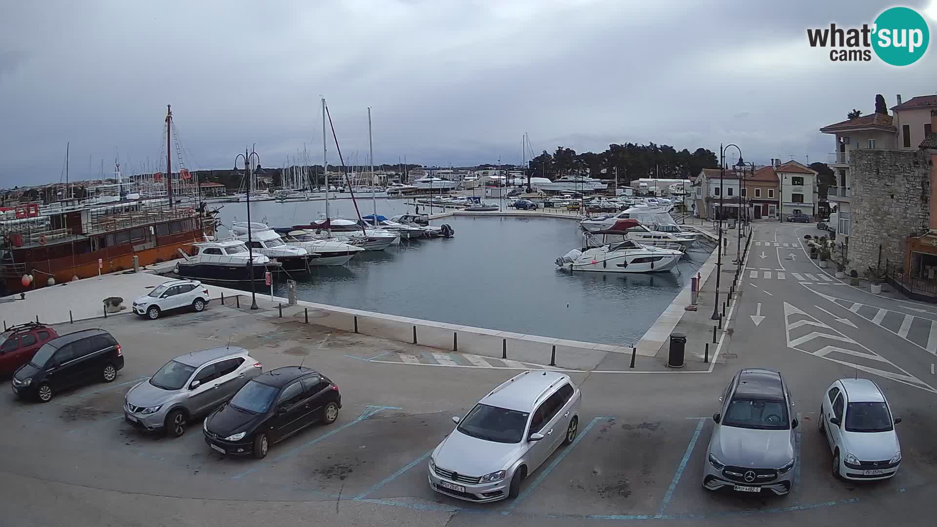 Novigrad | Porporela marina