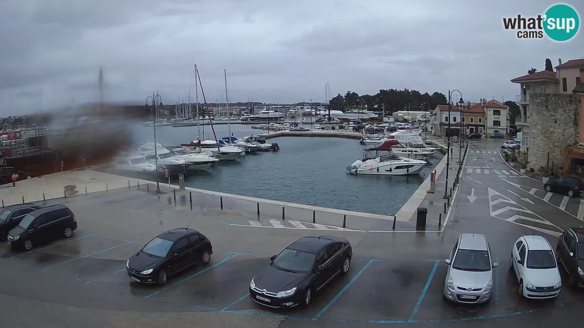 Novigrad | Porporela marina