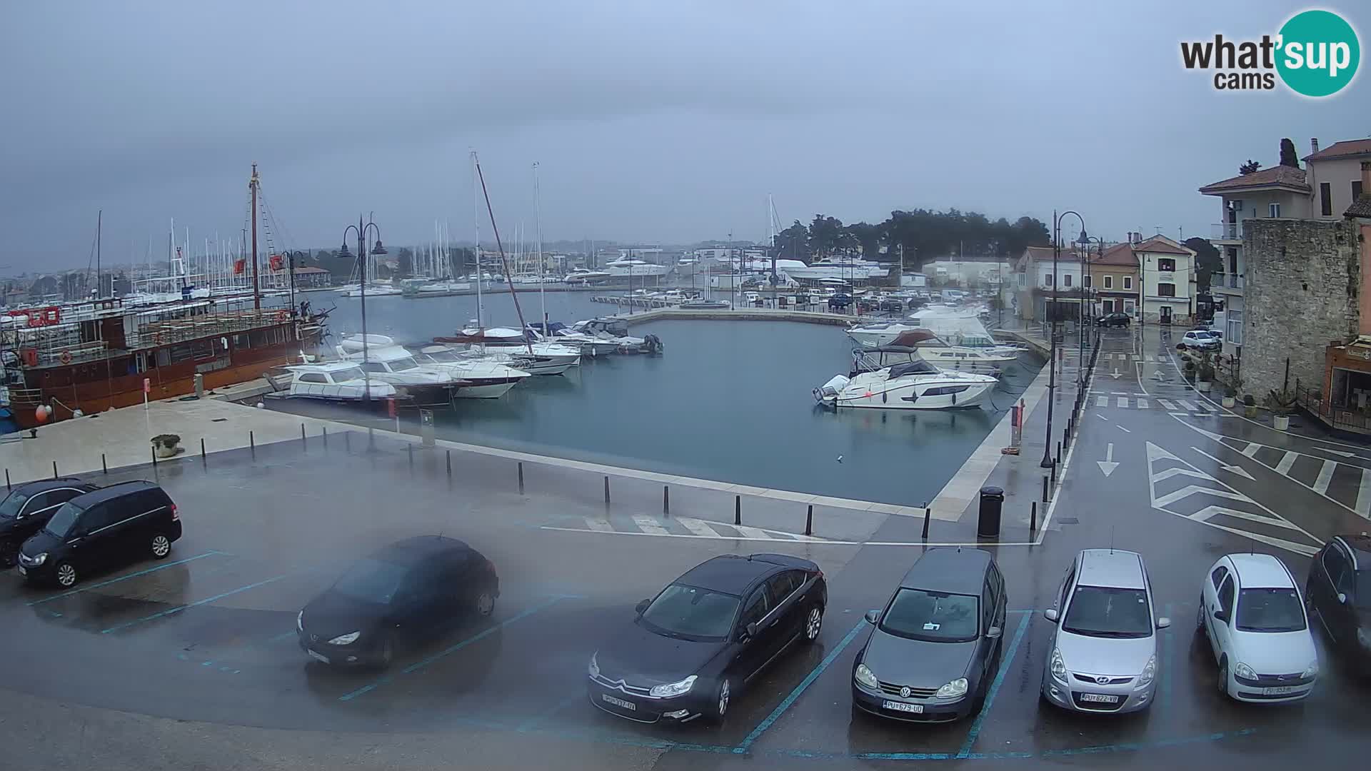 Novigrad | Porporela marina