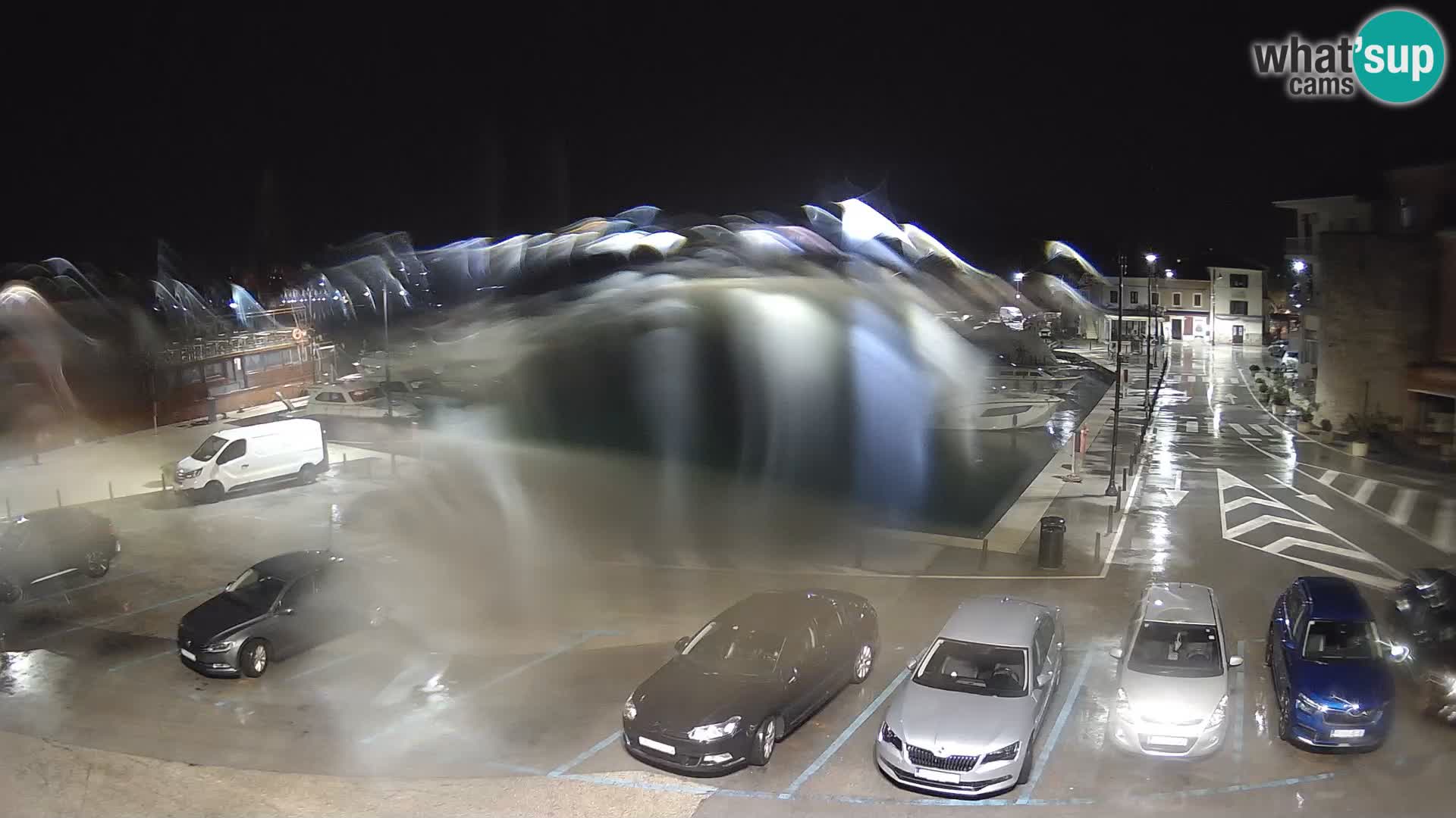 Novigrad | Porporela marina