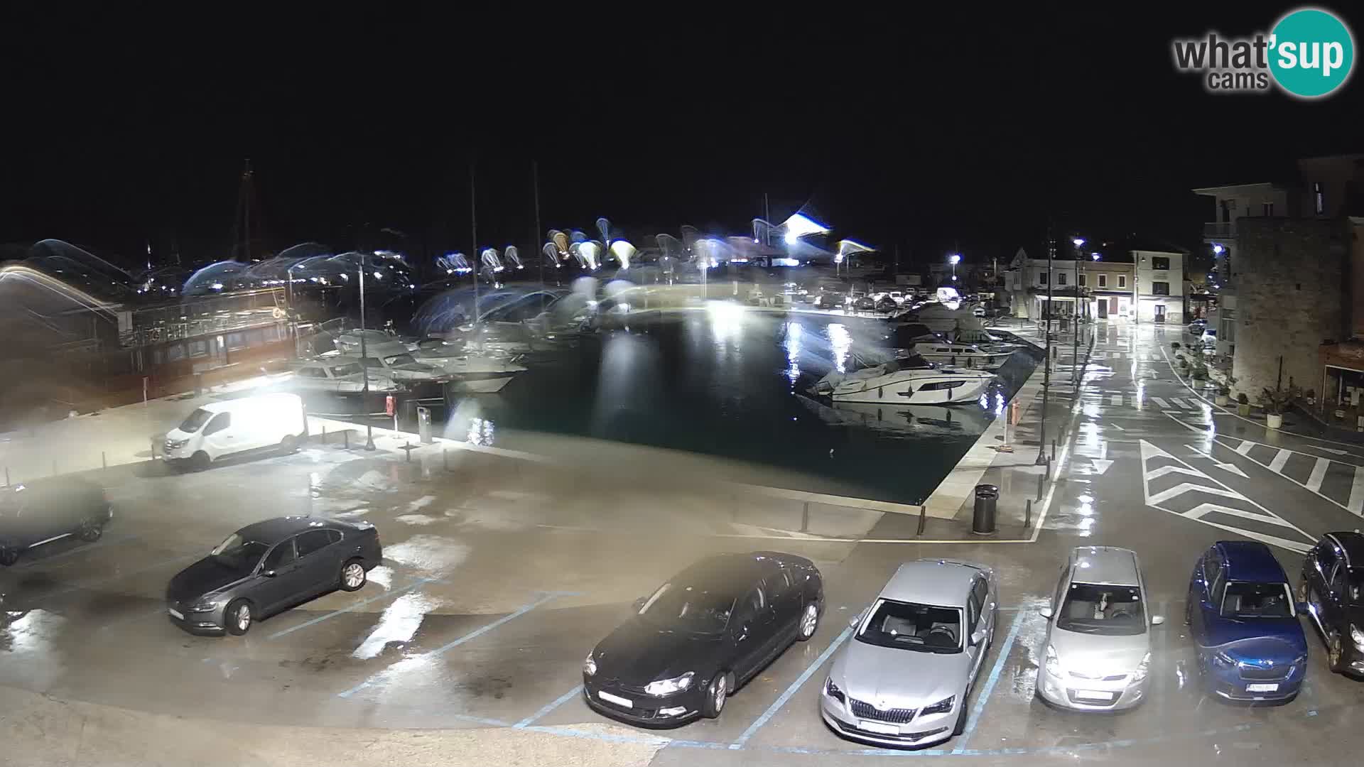 Novigrad | Porporela marina