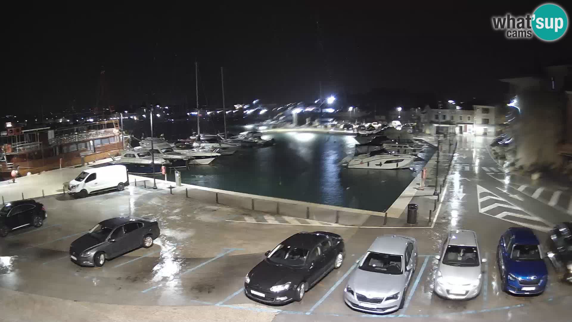 Novigrad | Porporela marina