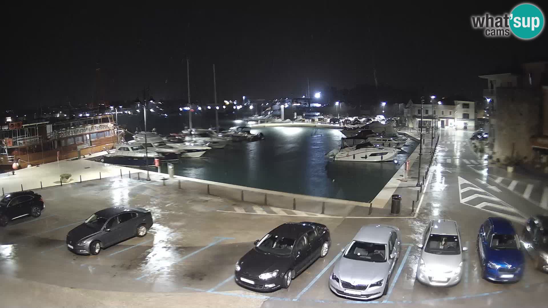 Novigrad | Porporela marina