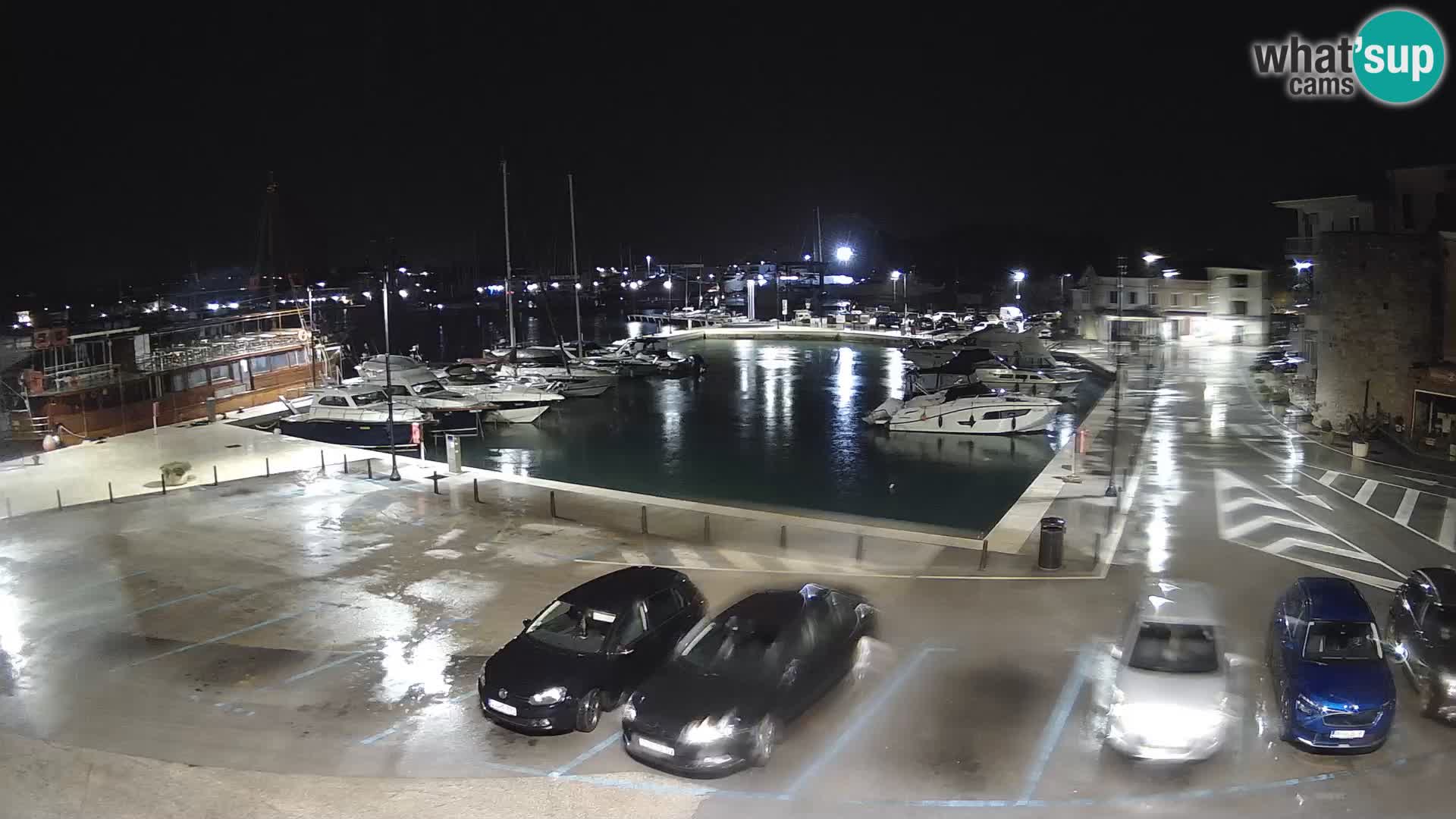 Novigrad | Porporela marina