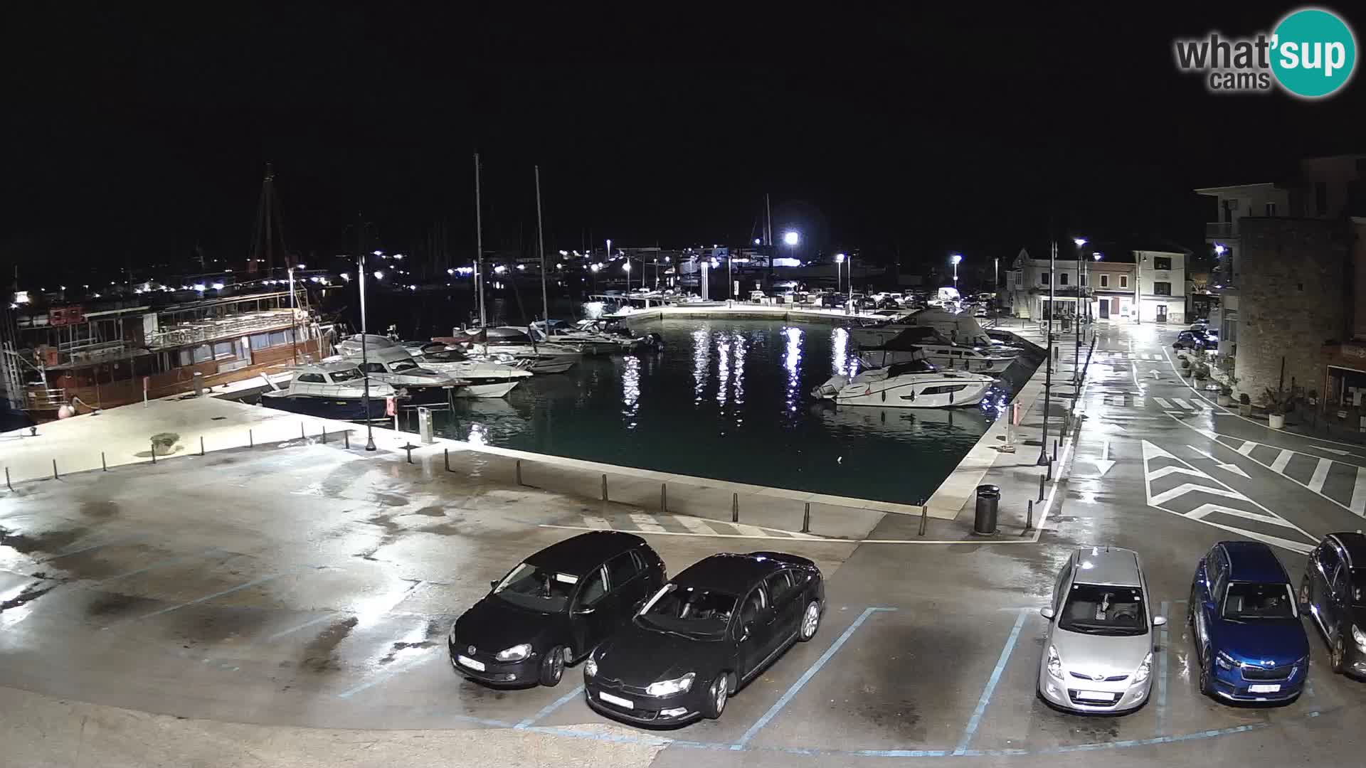 Novigrad | Porporela marina