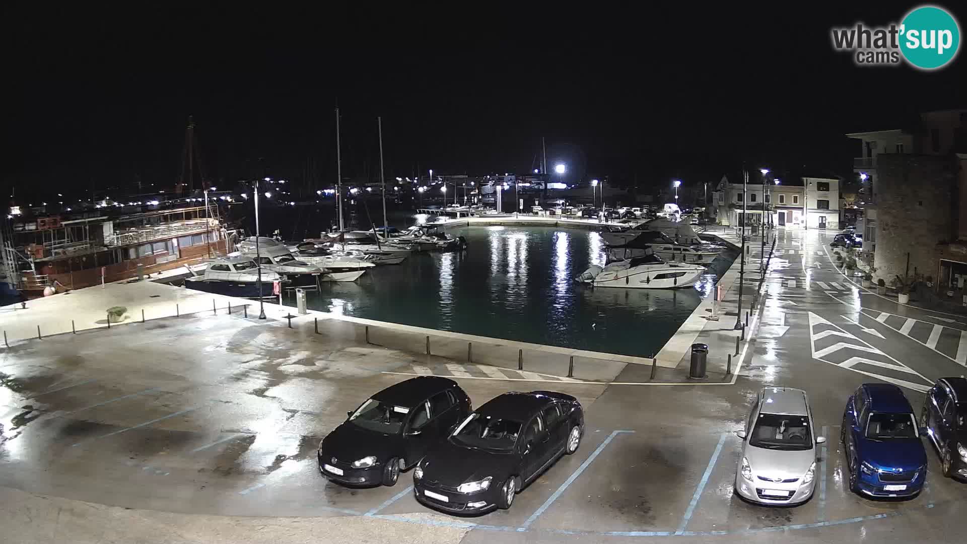 Novigrad | Porporela marina