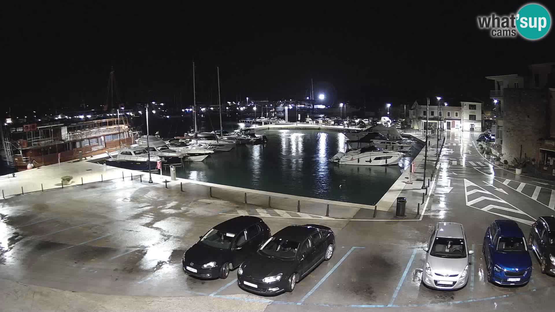 Novigrad | Porporela marina