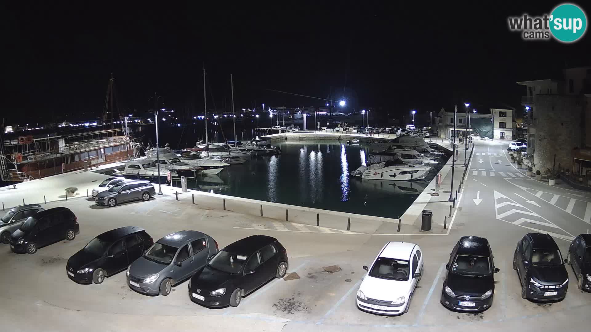 Novigrad | Porporela marina