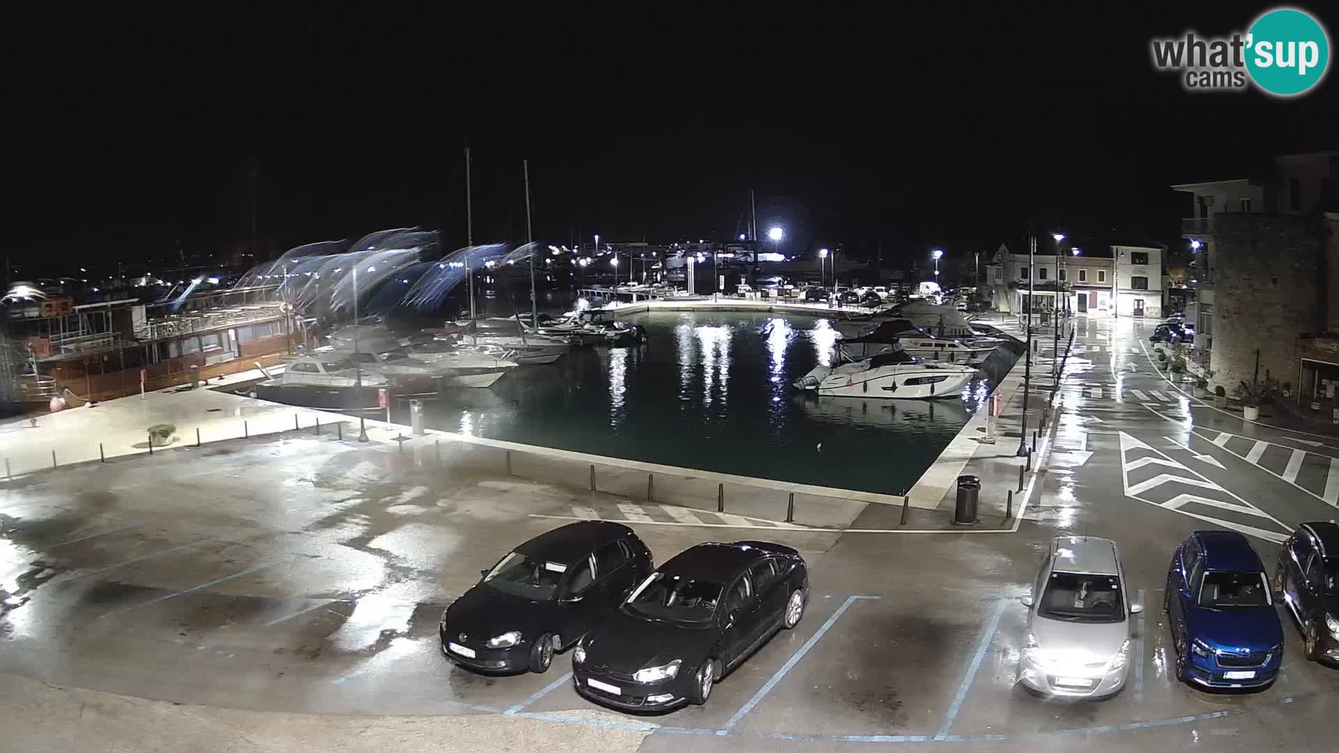 Novigrad | Porporela marina