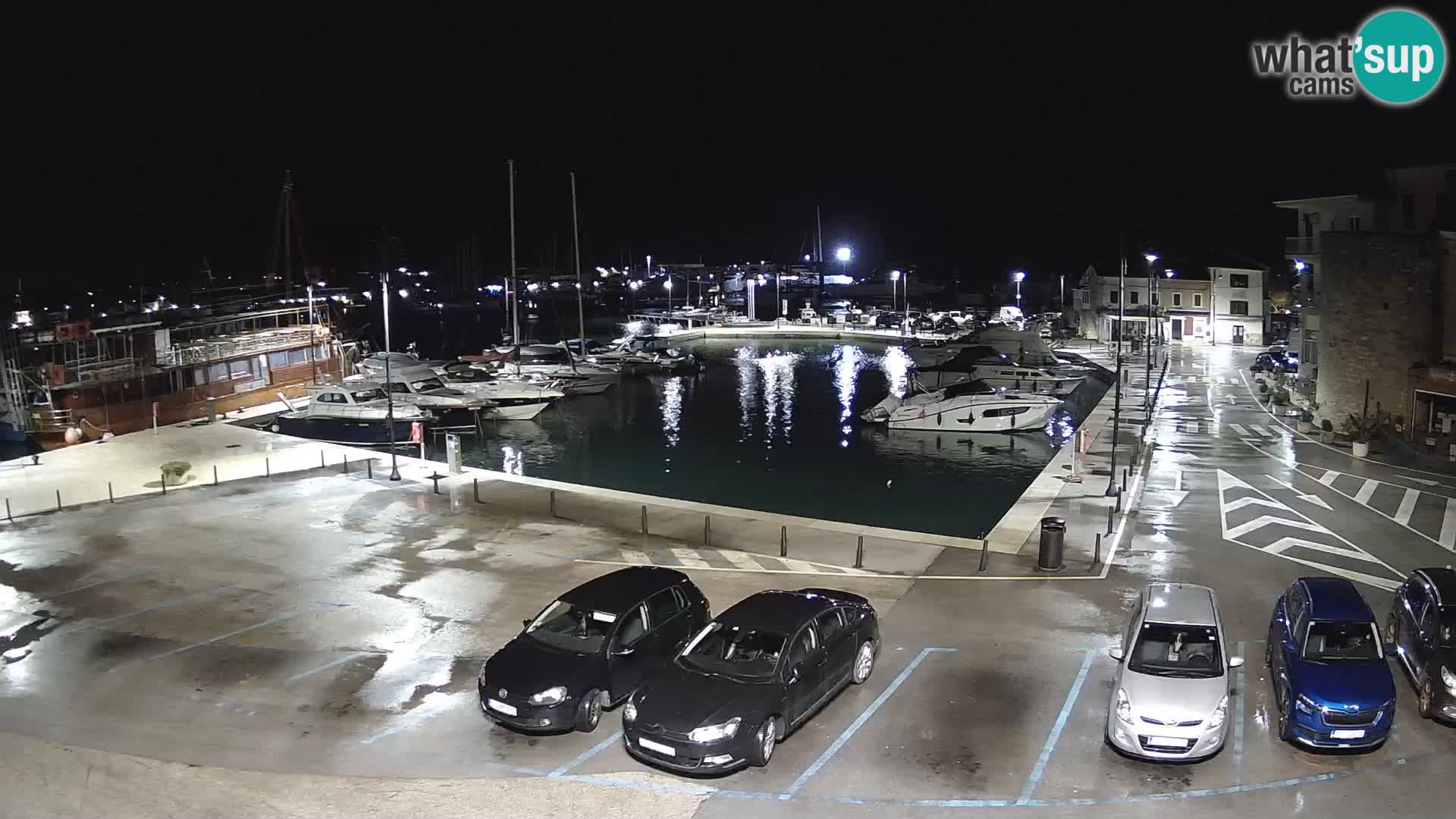 Novigrad | Porporela marina