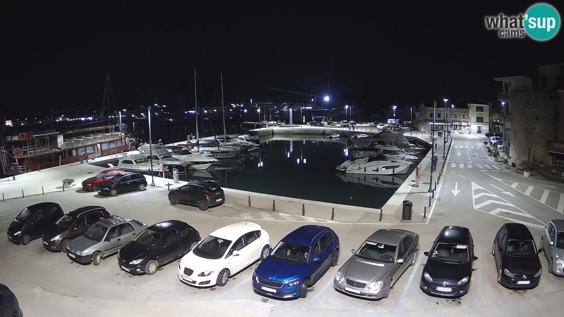 Novigrad | Porporela marina