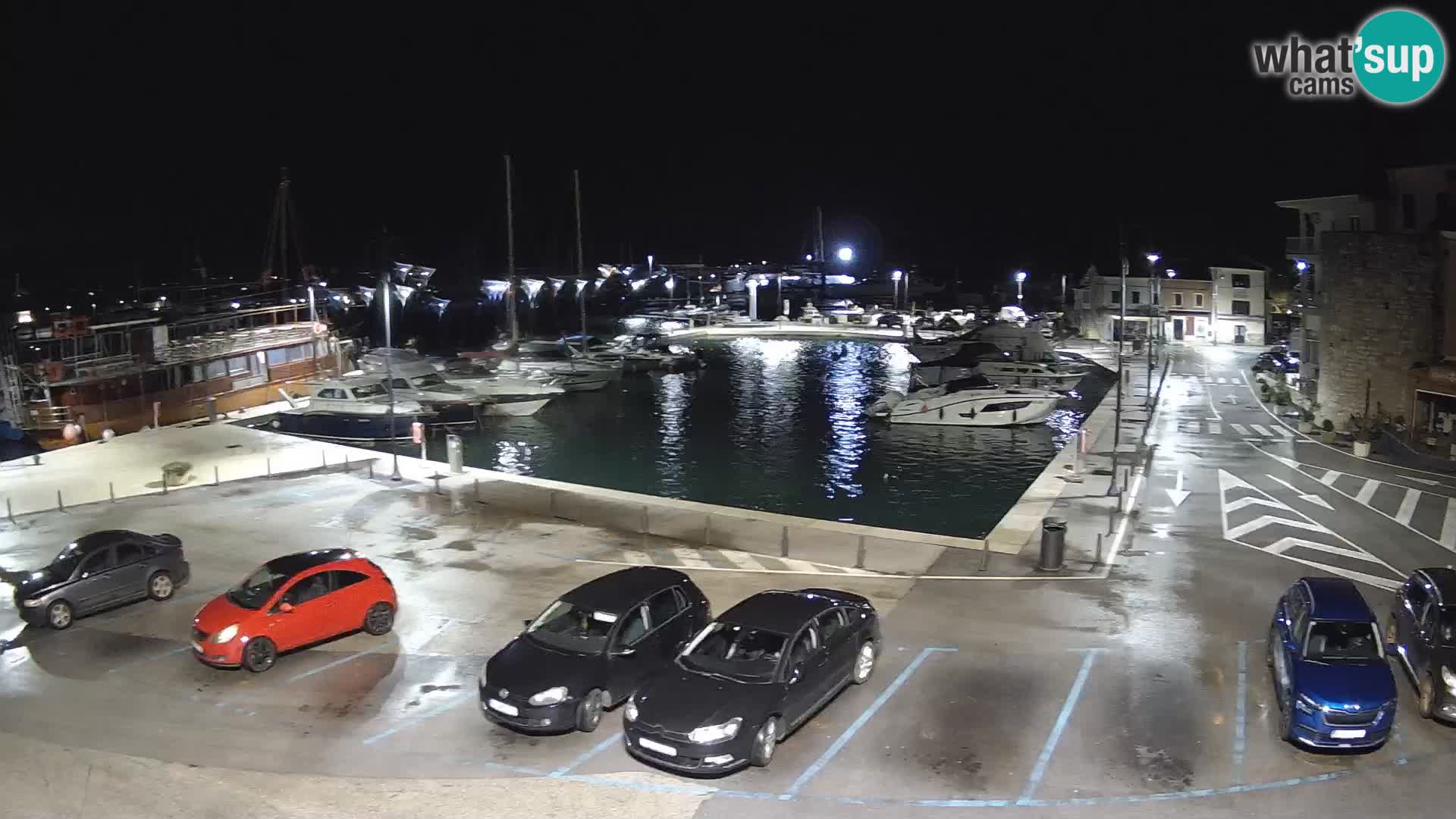 Novigrad | Porporela marina