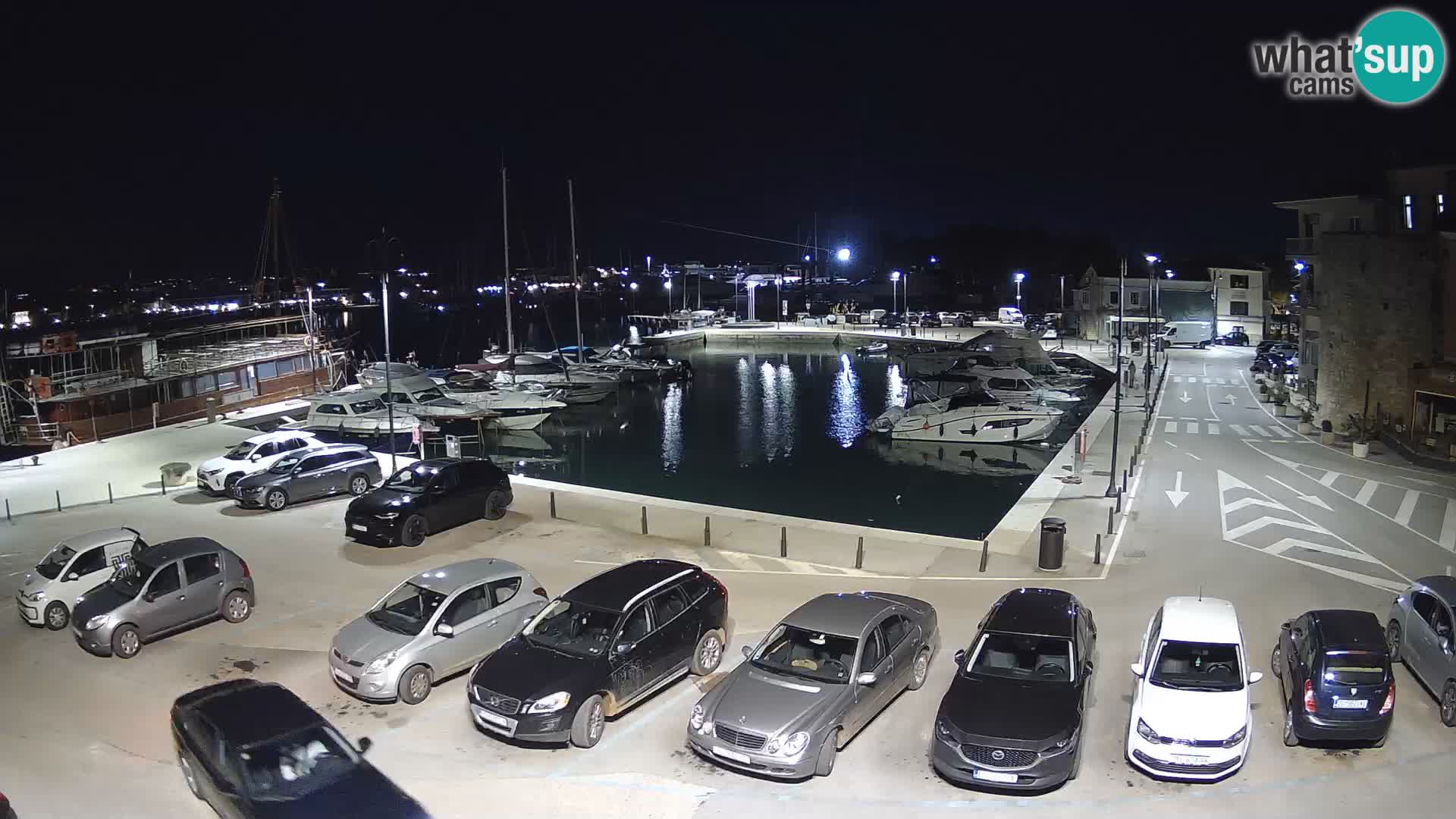 Novigrad | Porporela marina