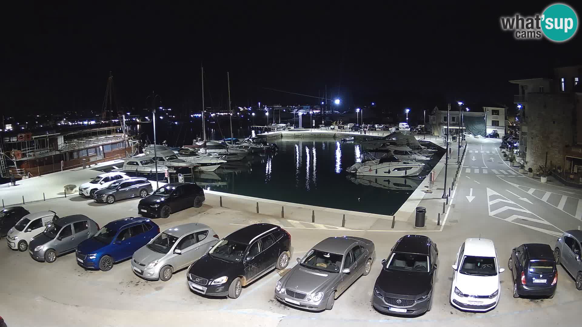Novigrad | Porporela marina