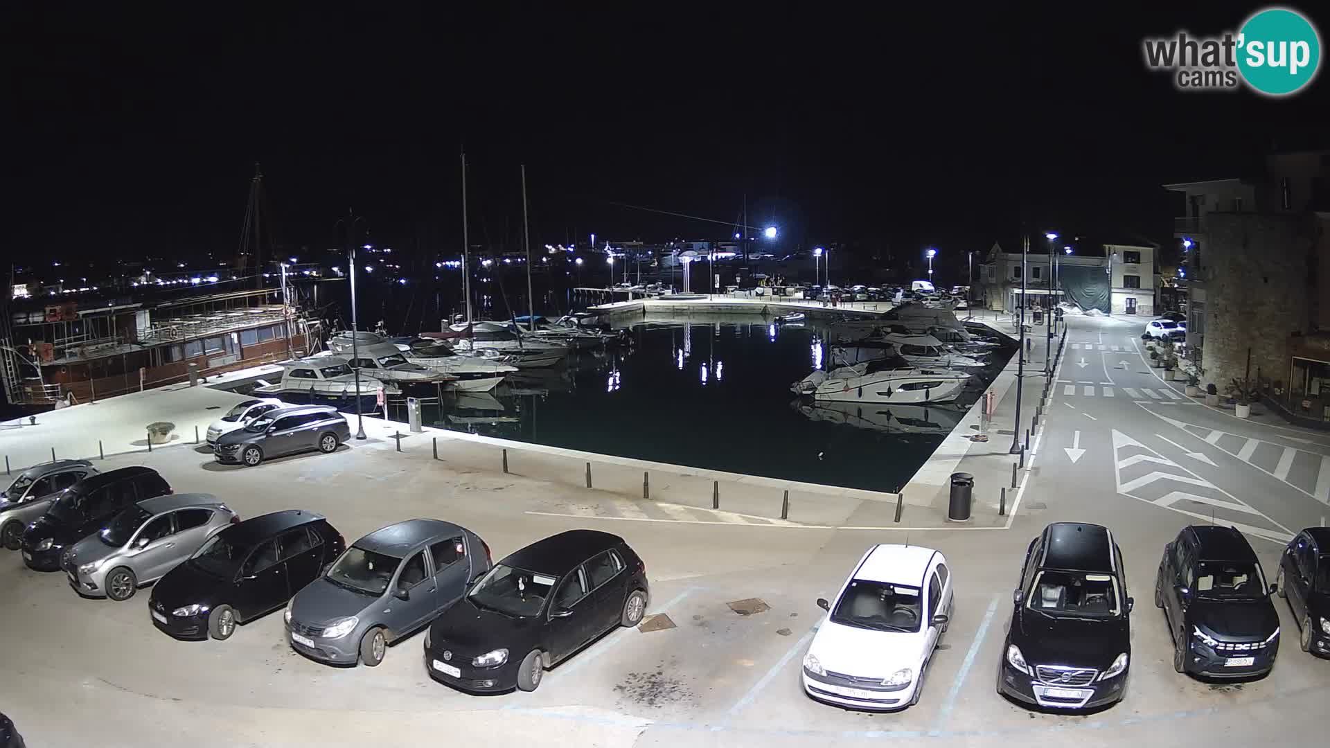 Novigrad | Porporela marina