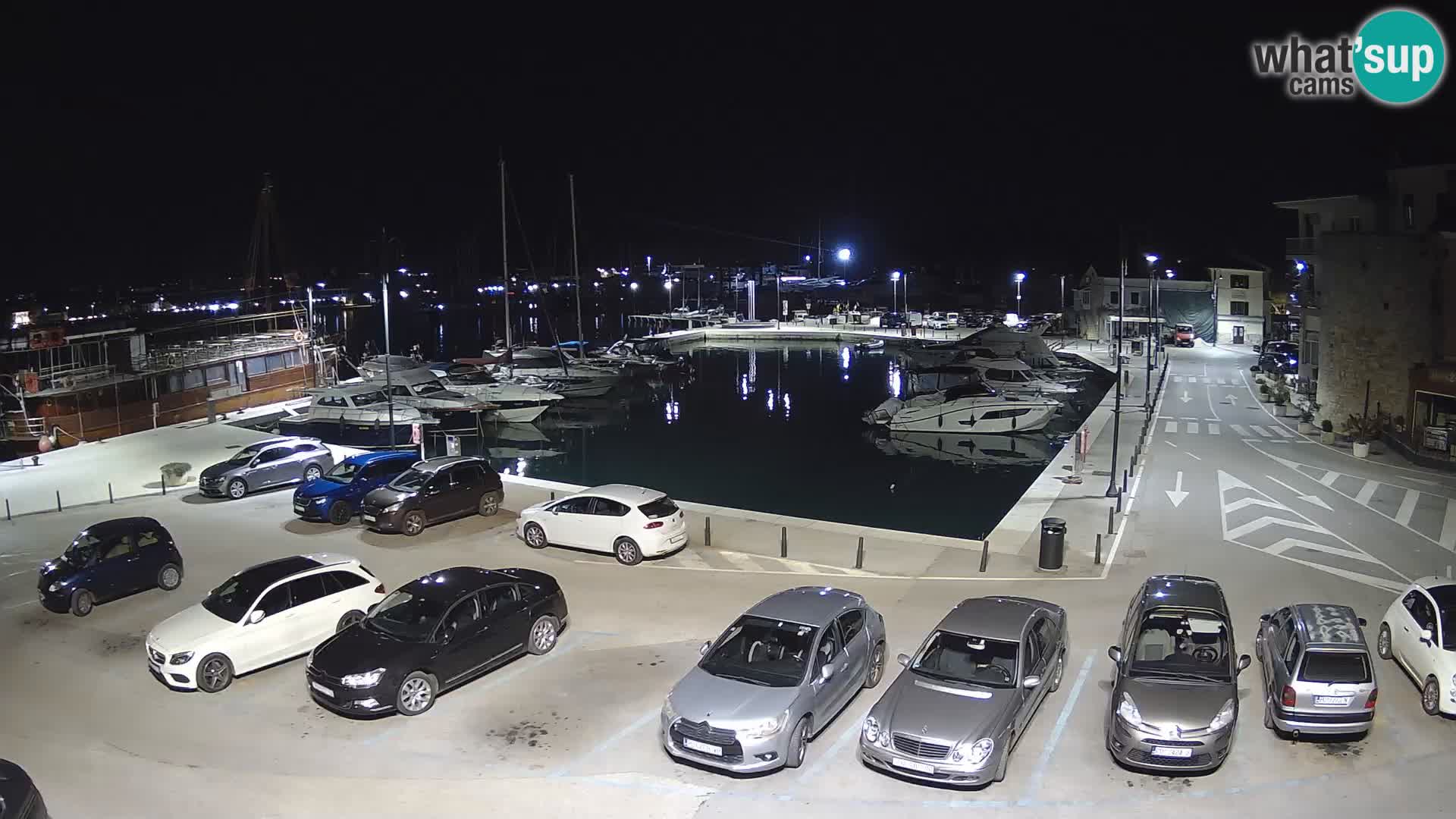 Novigrad | Porporela marina