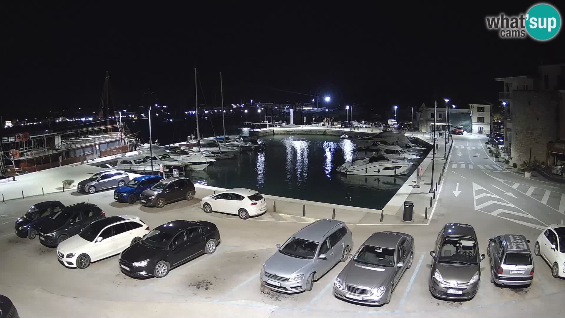 Novigrad | Porporela marina