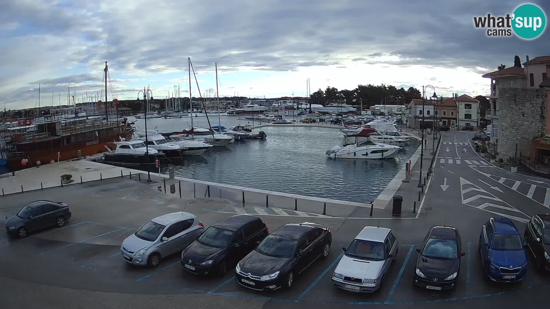 Novigrad | Porporela marina
