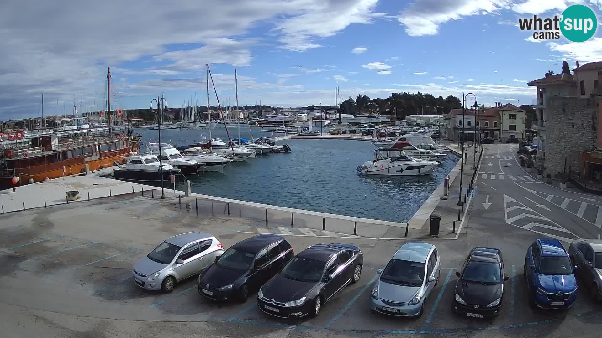 Novigrad | Porporela marina