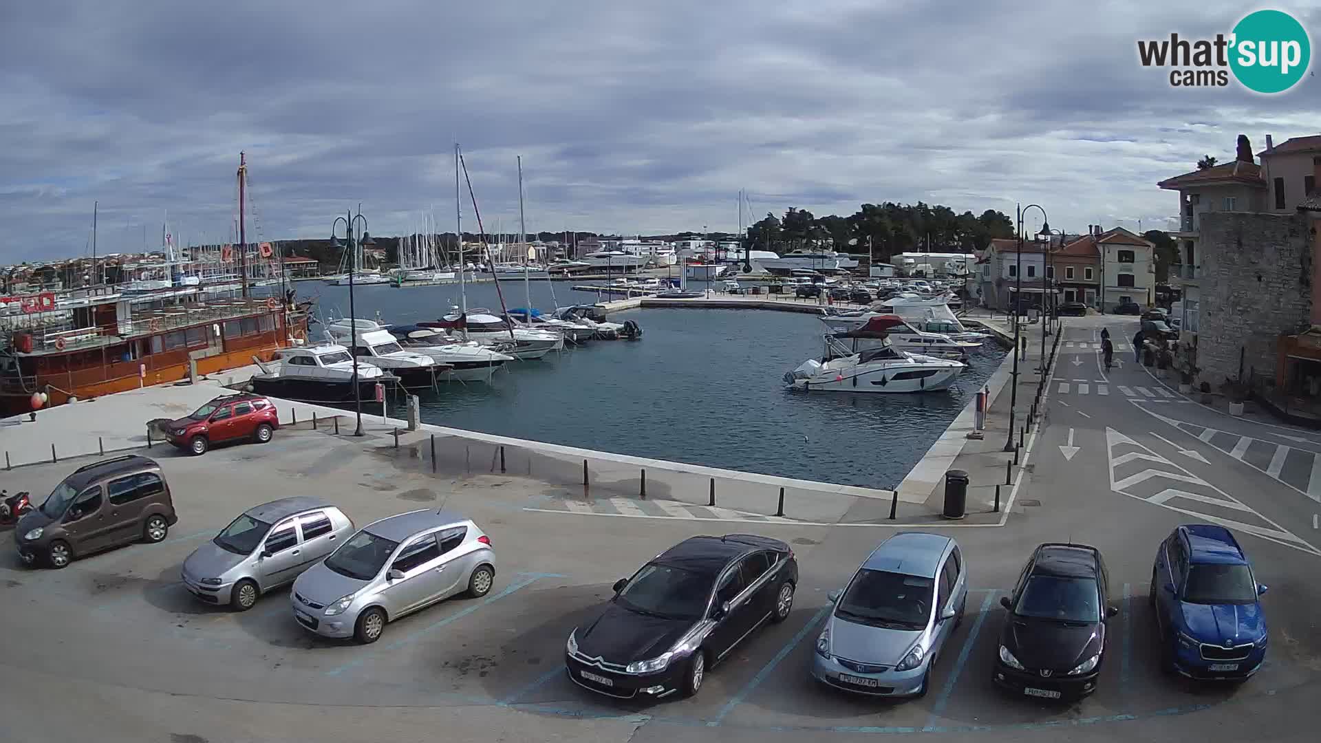 Novigrad | Porporela marina