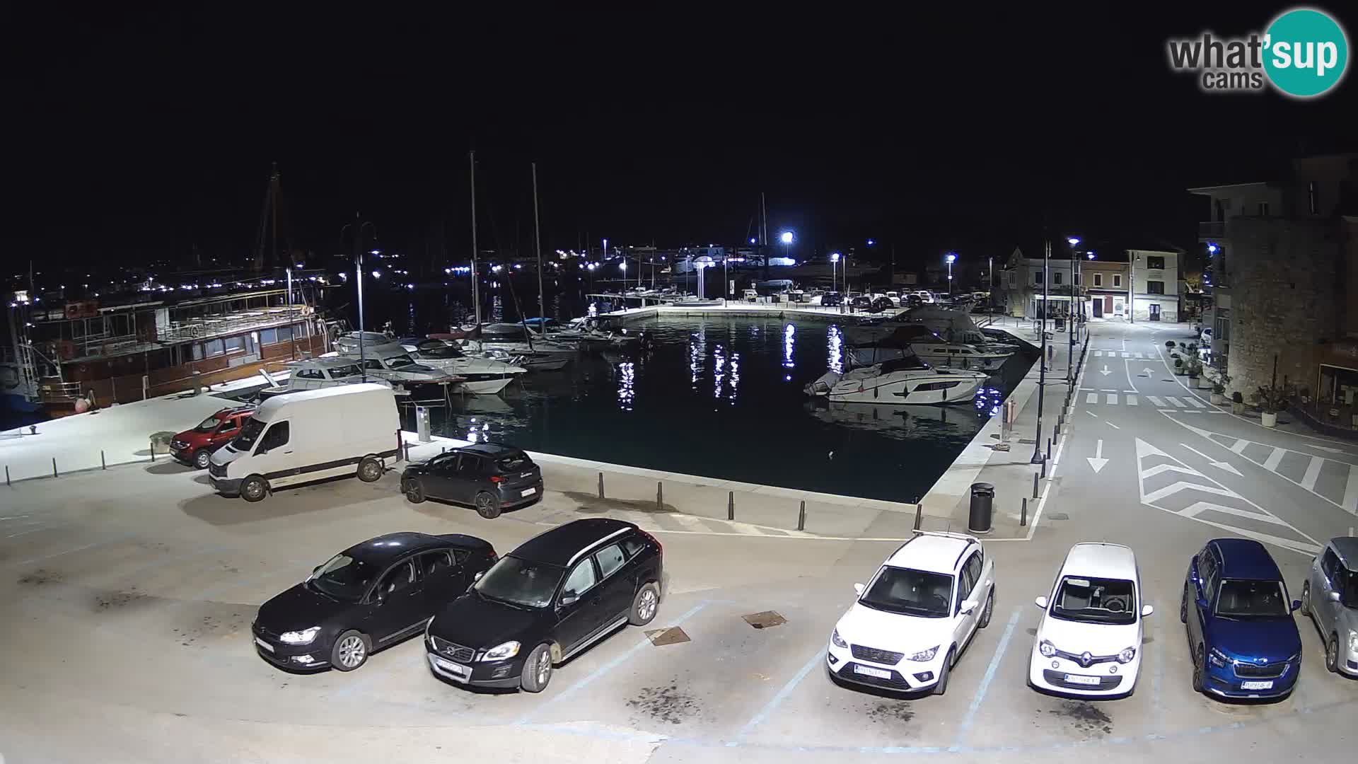 Novigrad | Porporela marina