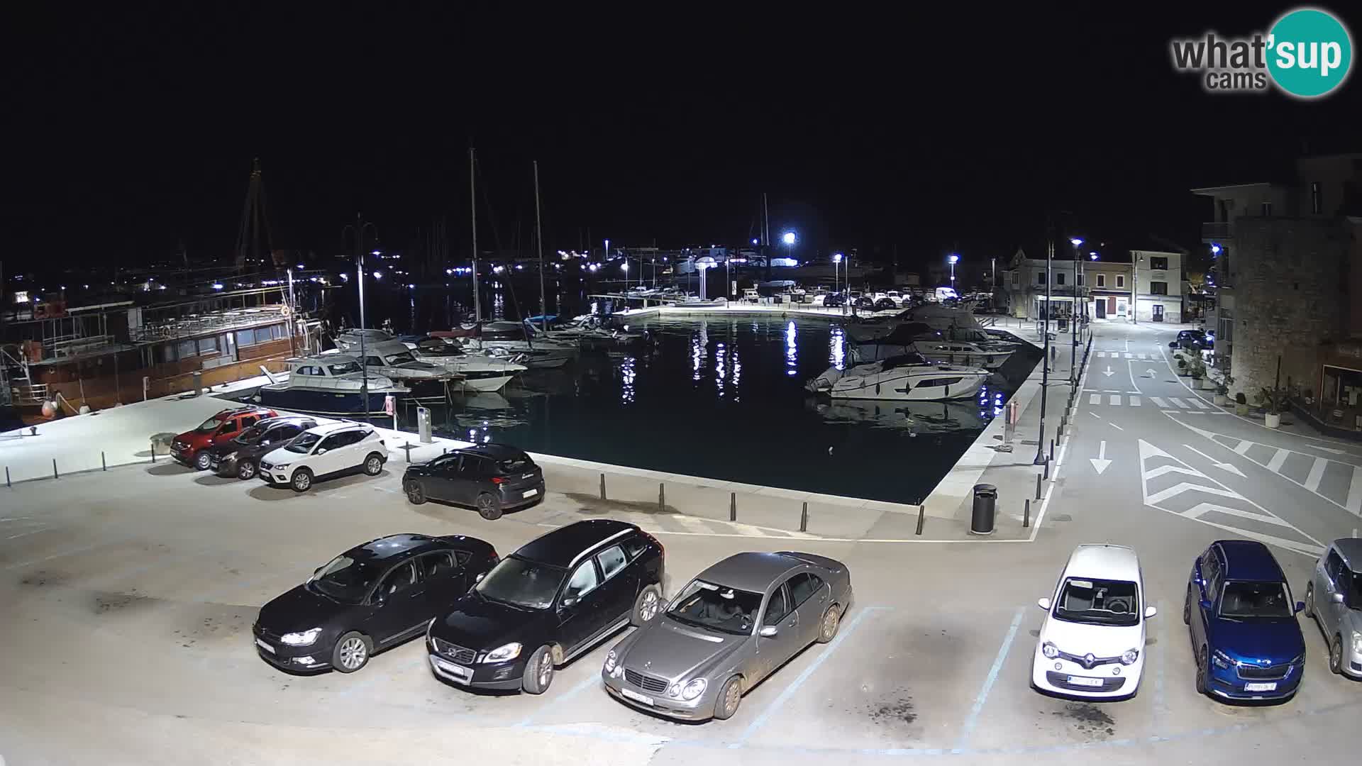 Novigrad | Porporela marina