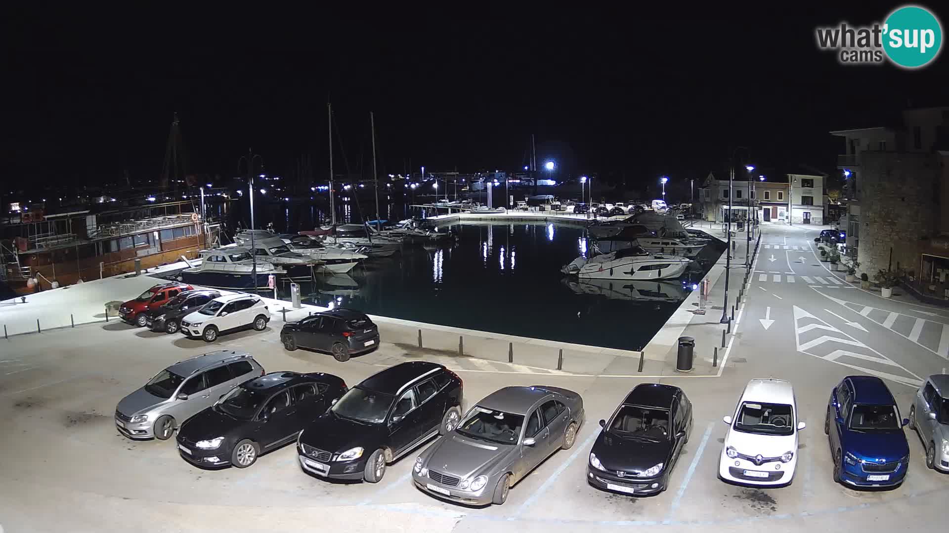 Novigrad | Porporela marina