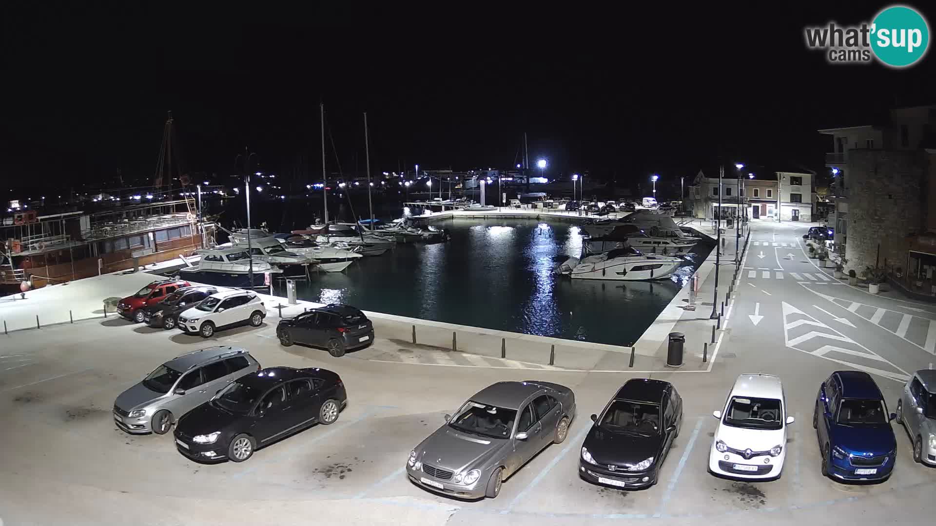 Novigrad | Porporela marina