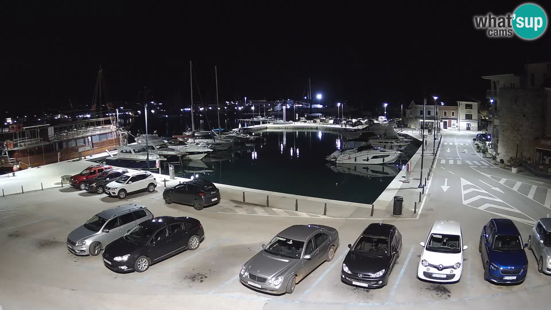 Novigrad | Porporela marina