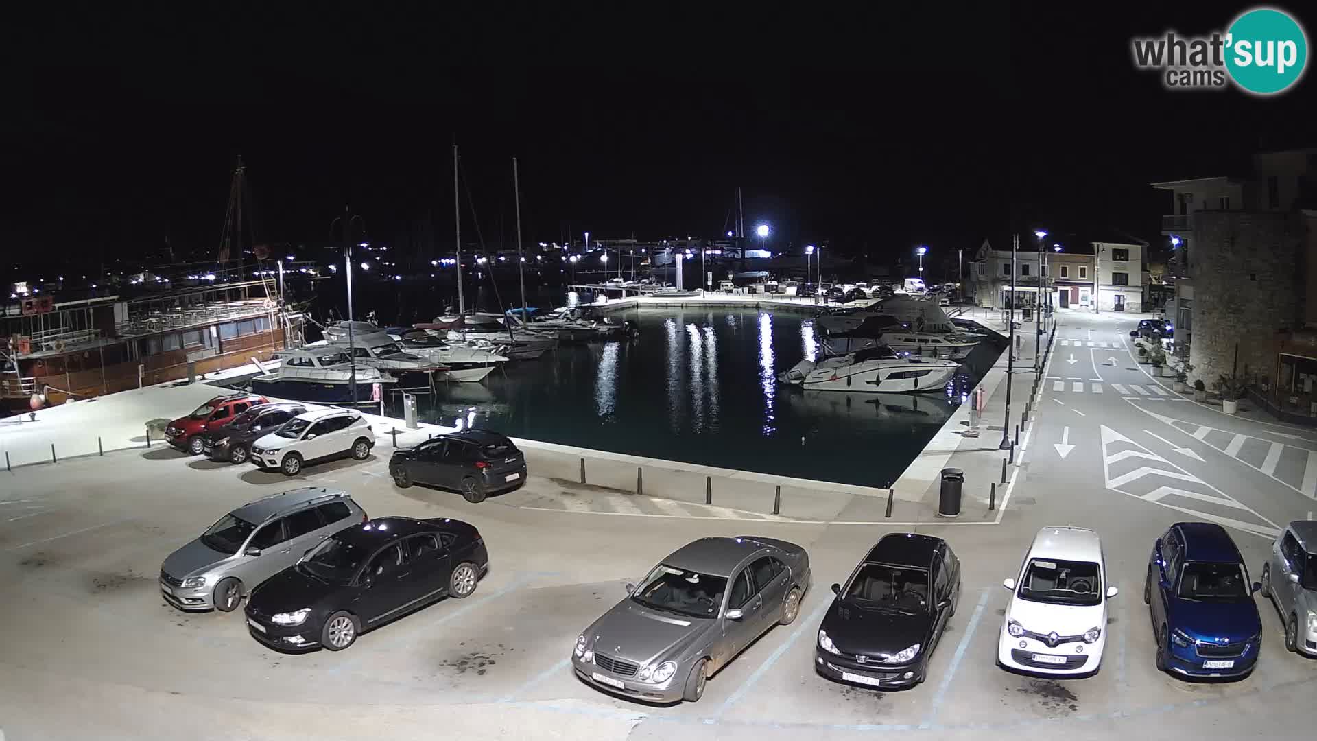 Novigrad | Porporela marina