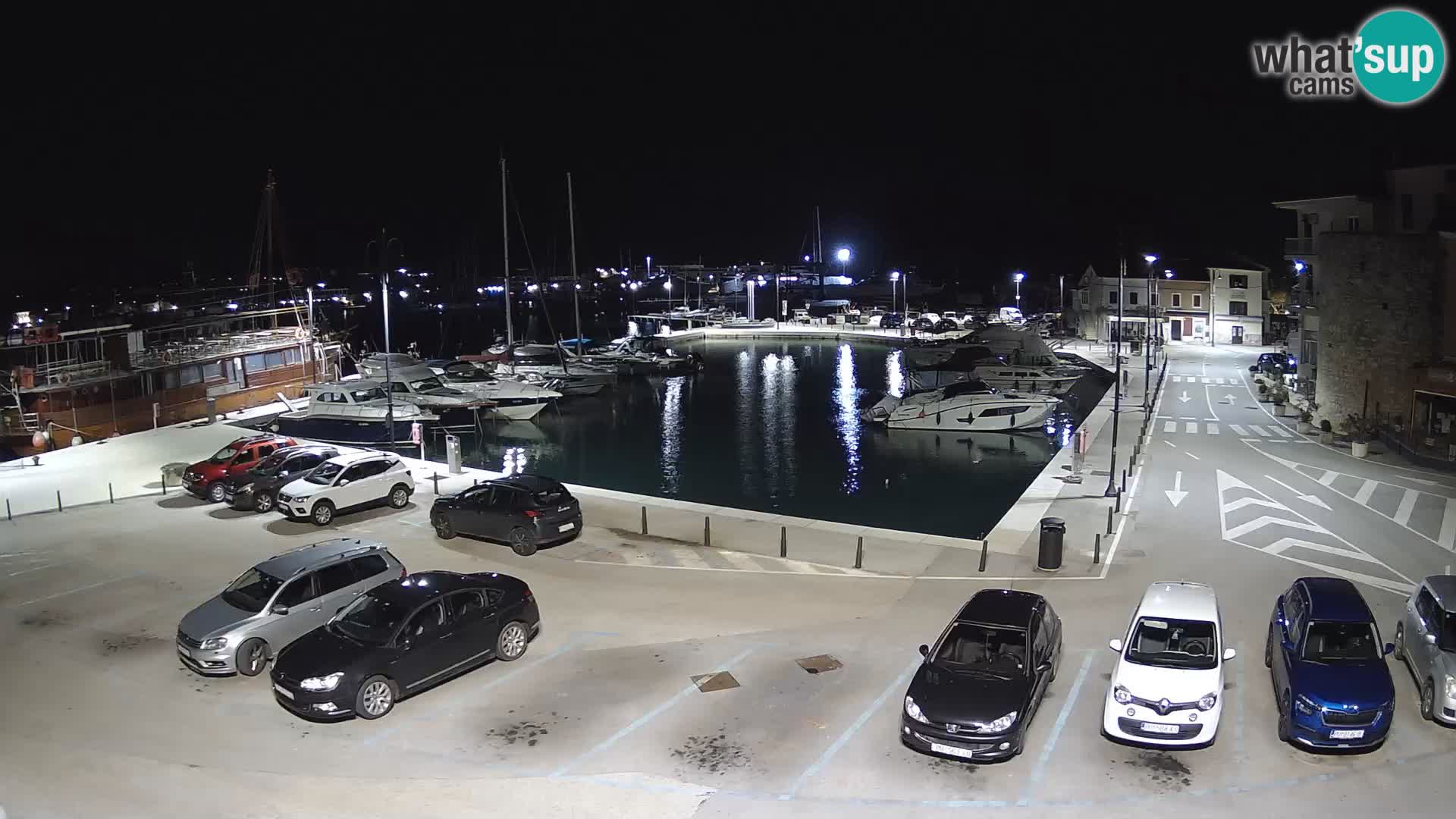 Novigrad | Porporela marina