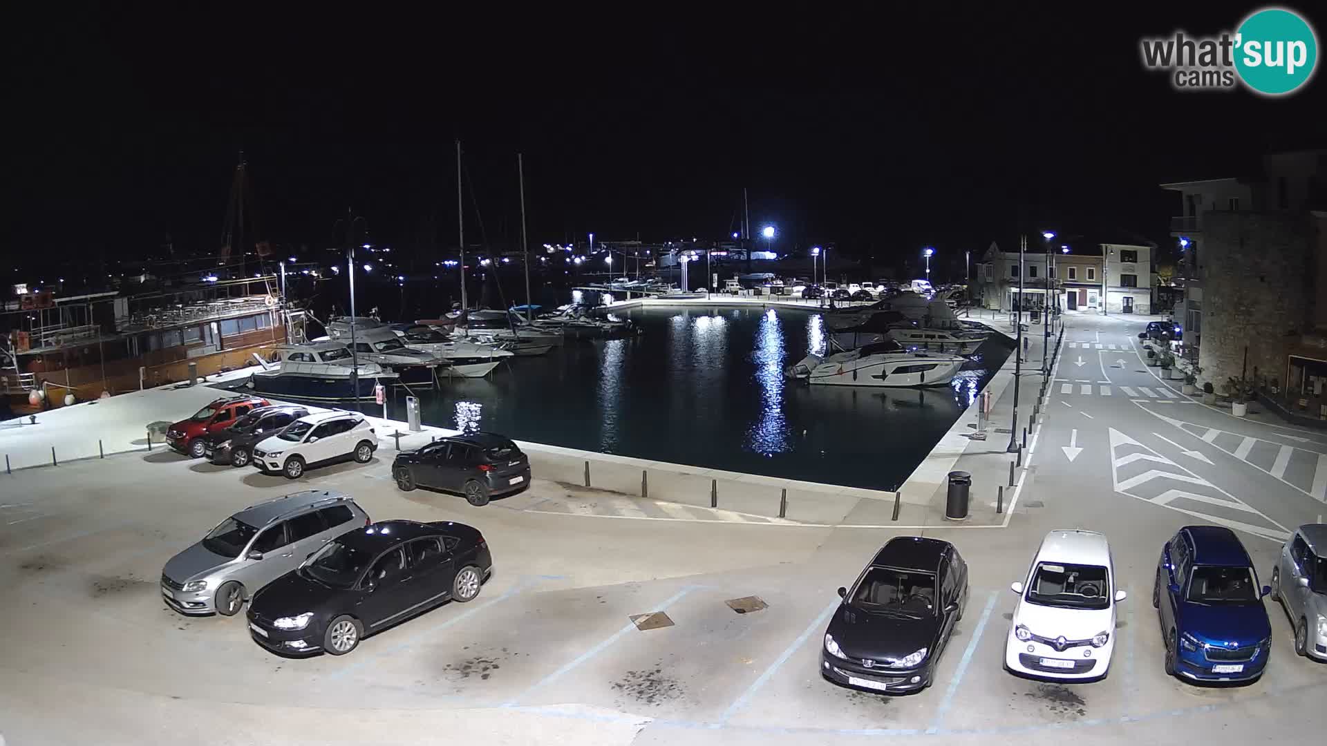 Novigrad | Porporela marina