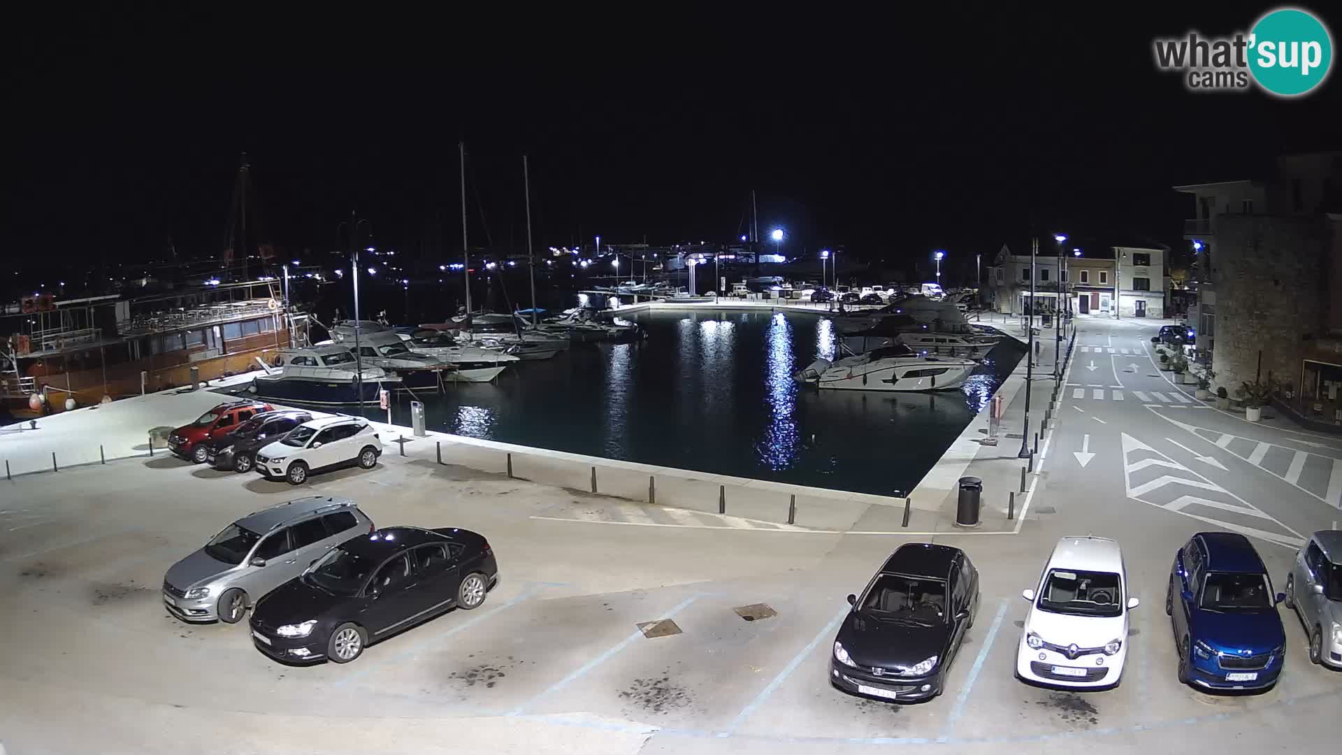 Novigrad | Porporela marina