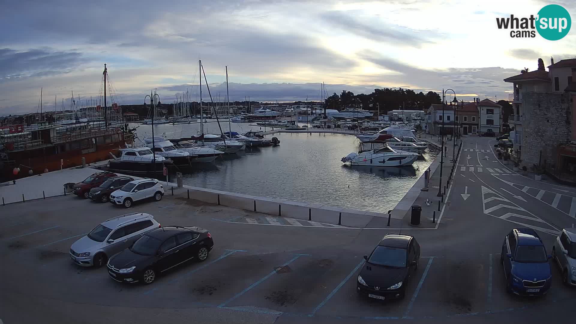 Novigrad | Porporela marina