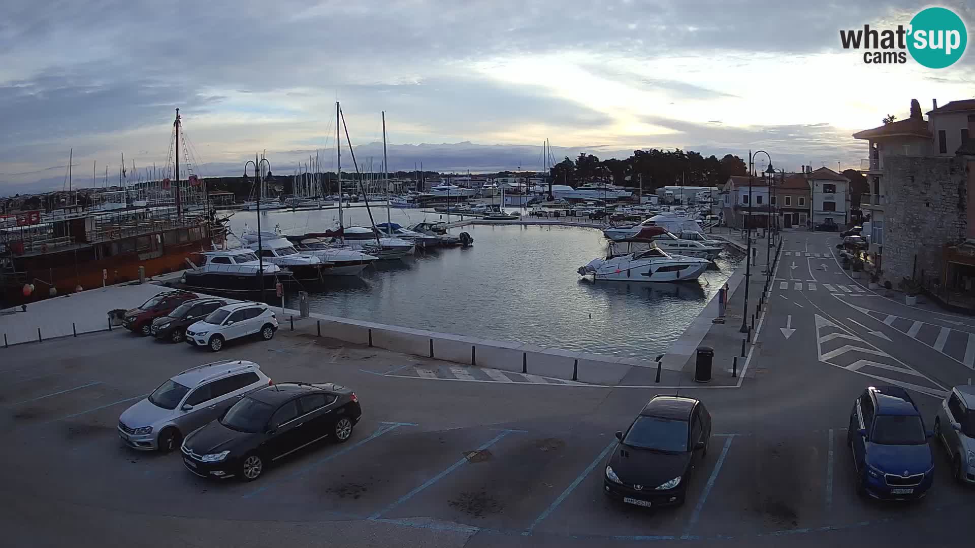 Novigrad | Porporela marina