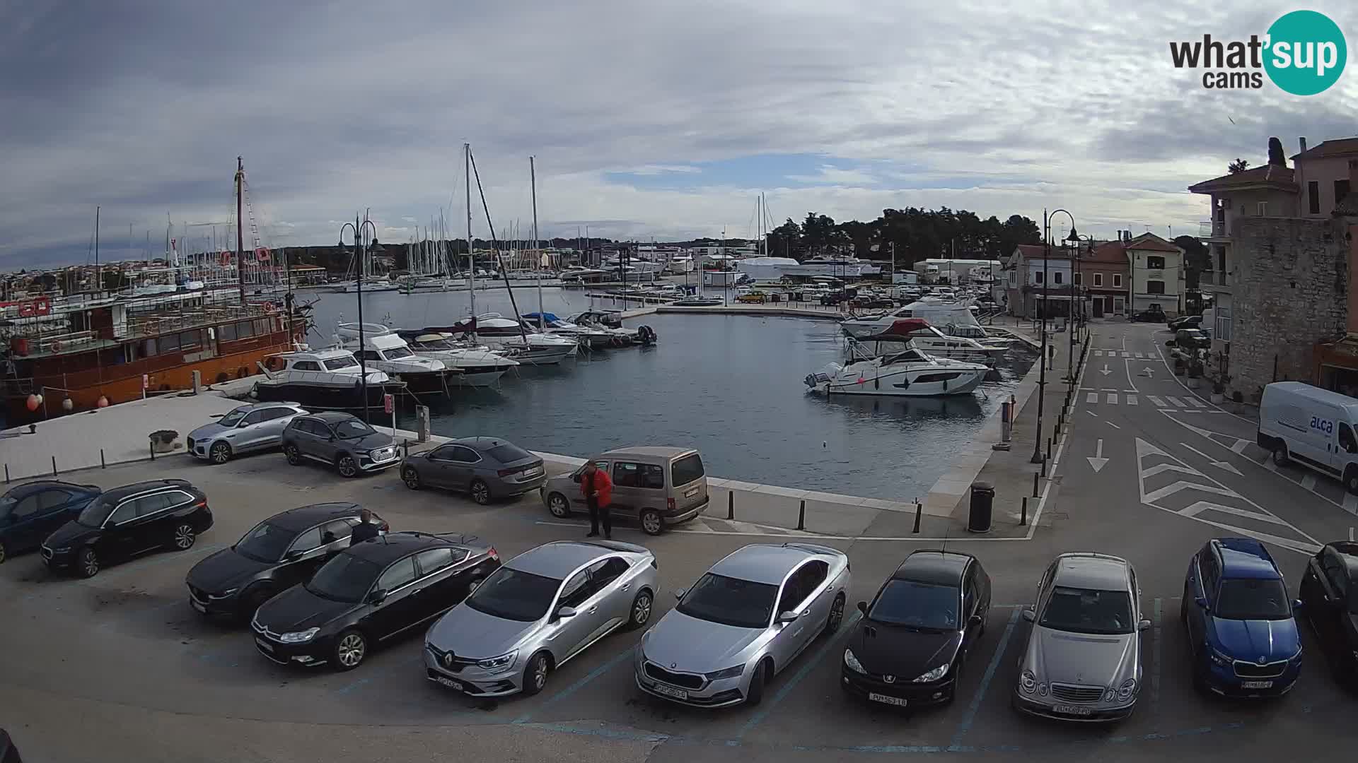 Novigrad | Porporela marina