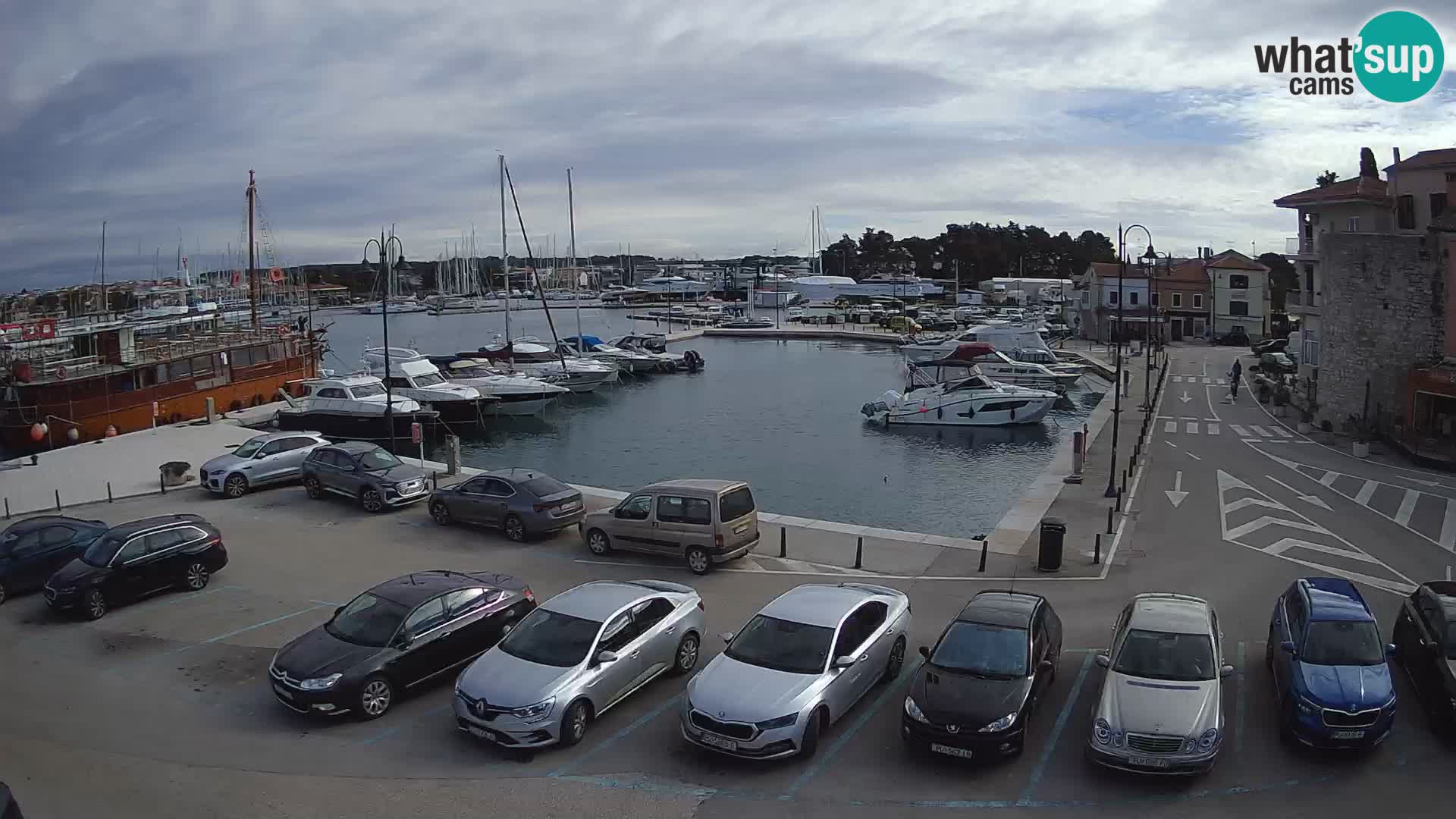 Novigrad | Porporela marina