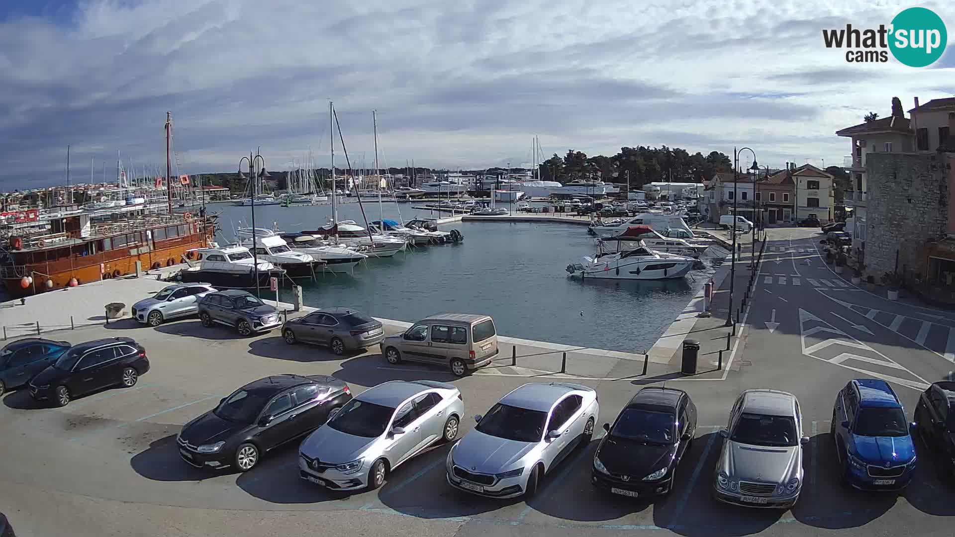 Novigrad | Porporela marina