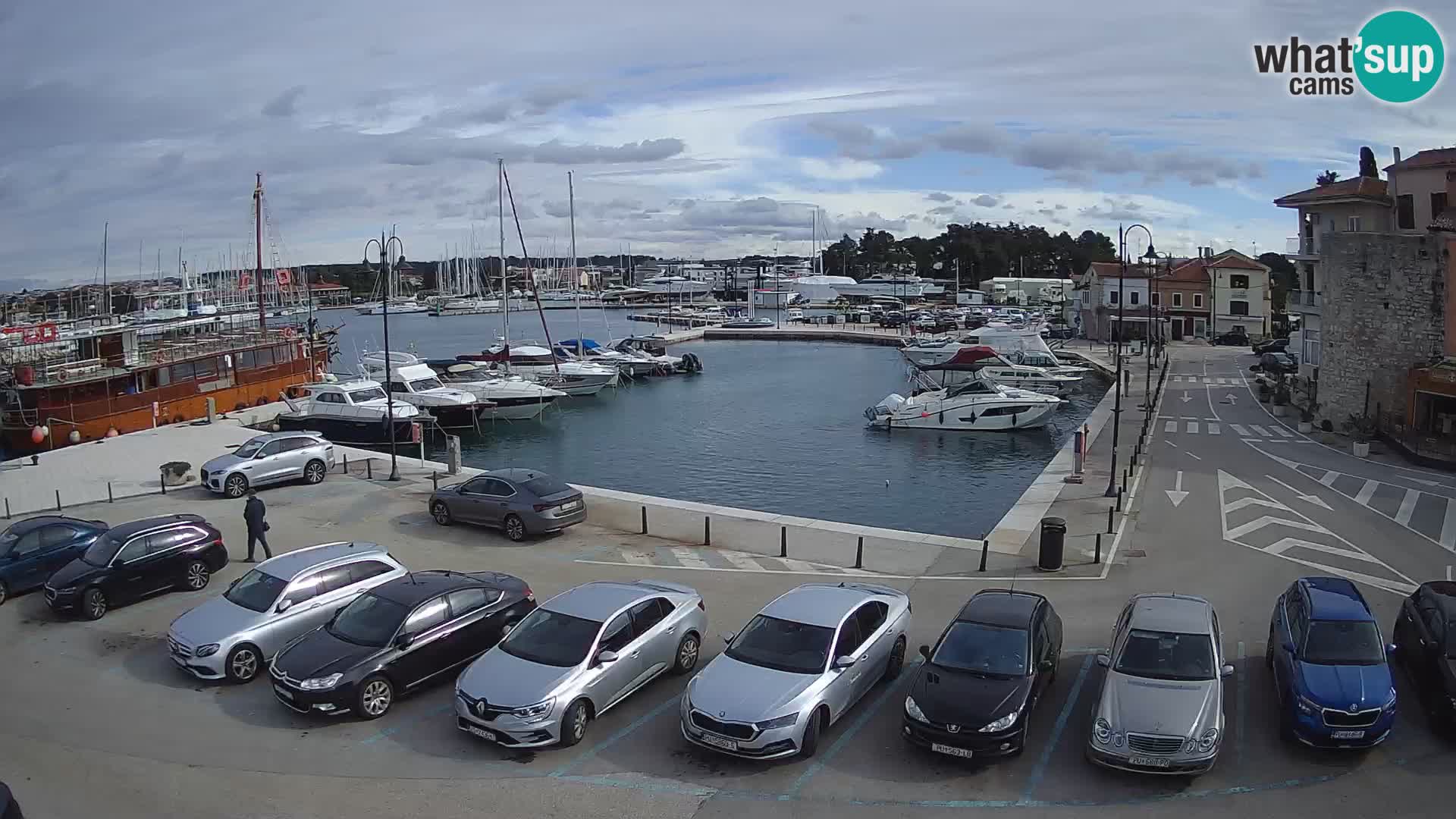 Novigrad | Porporela marina