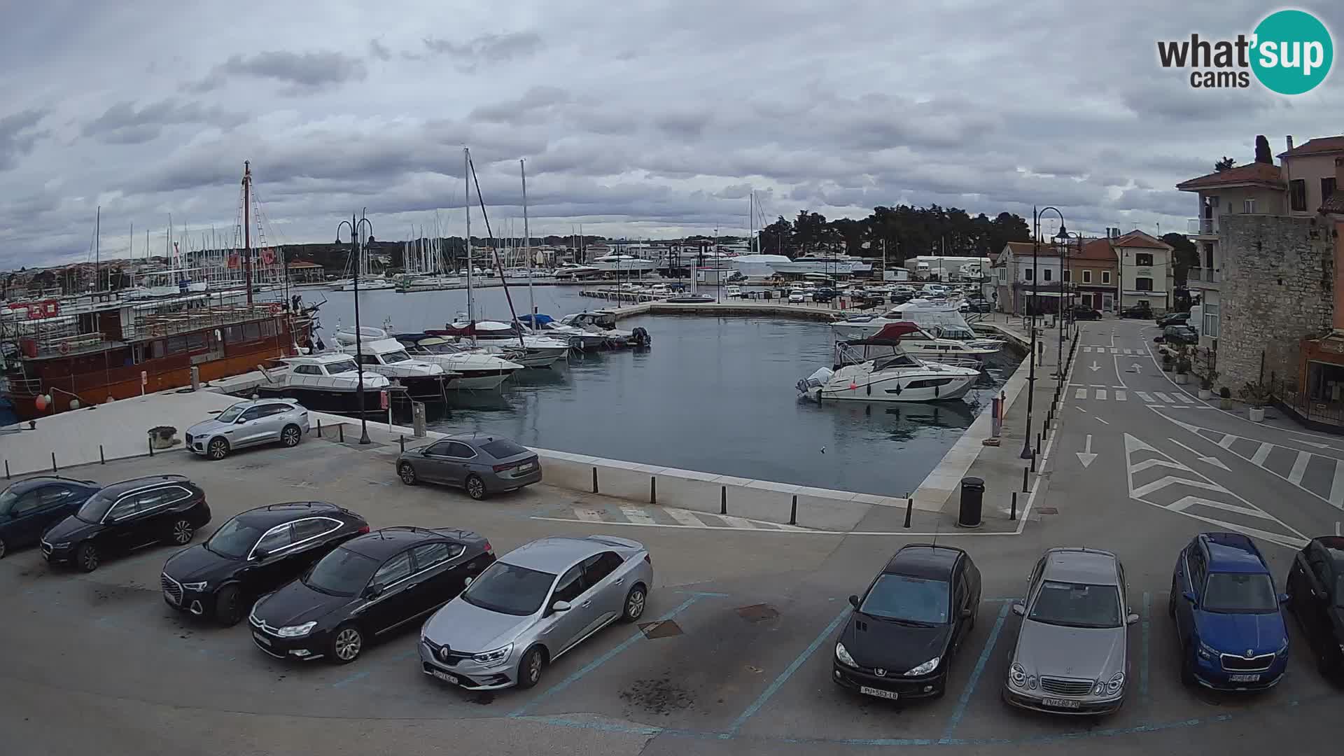 Novigrad | Porporela marina