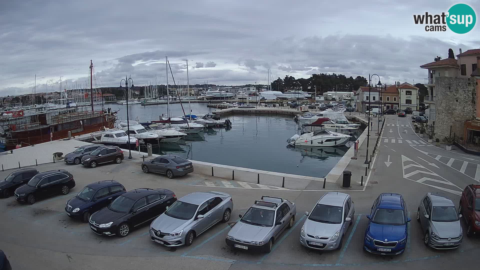 Novigrad | Porporela marina