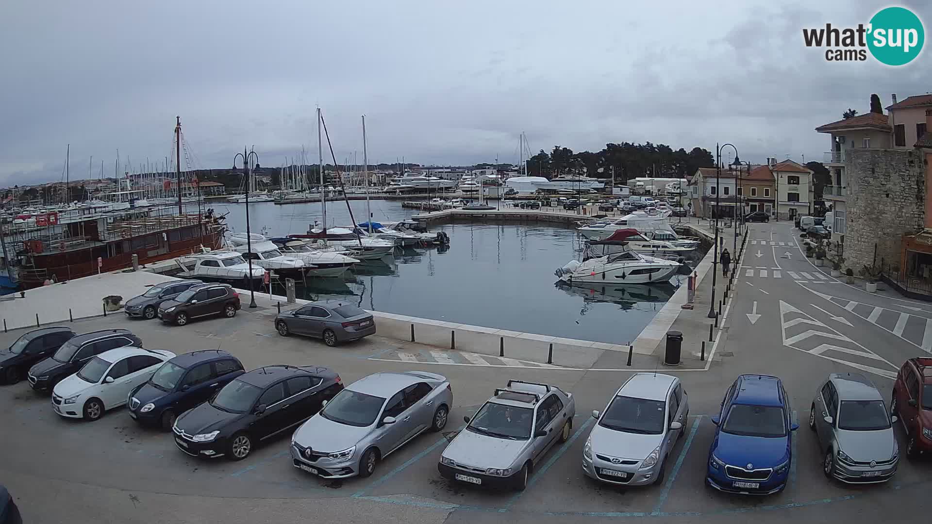 Novigrad | Porporela marina