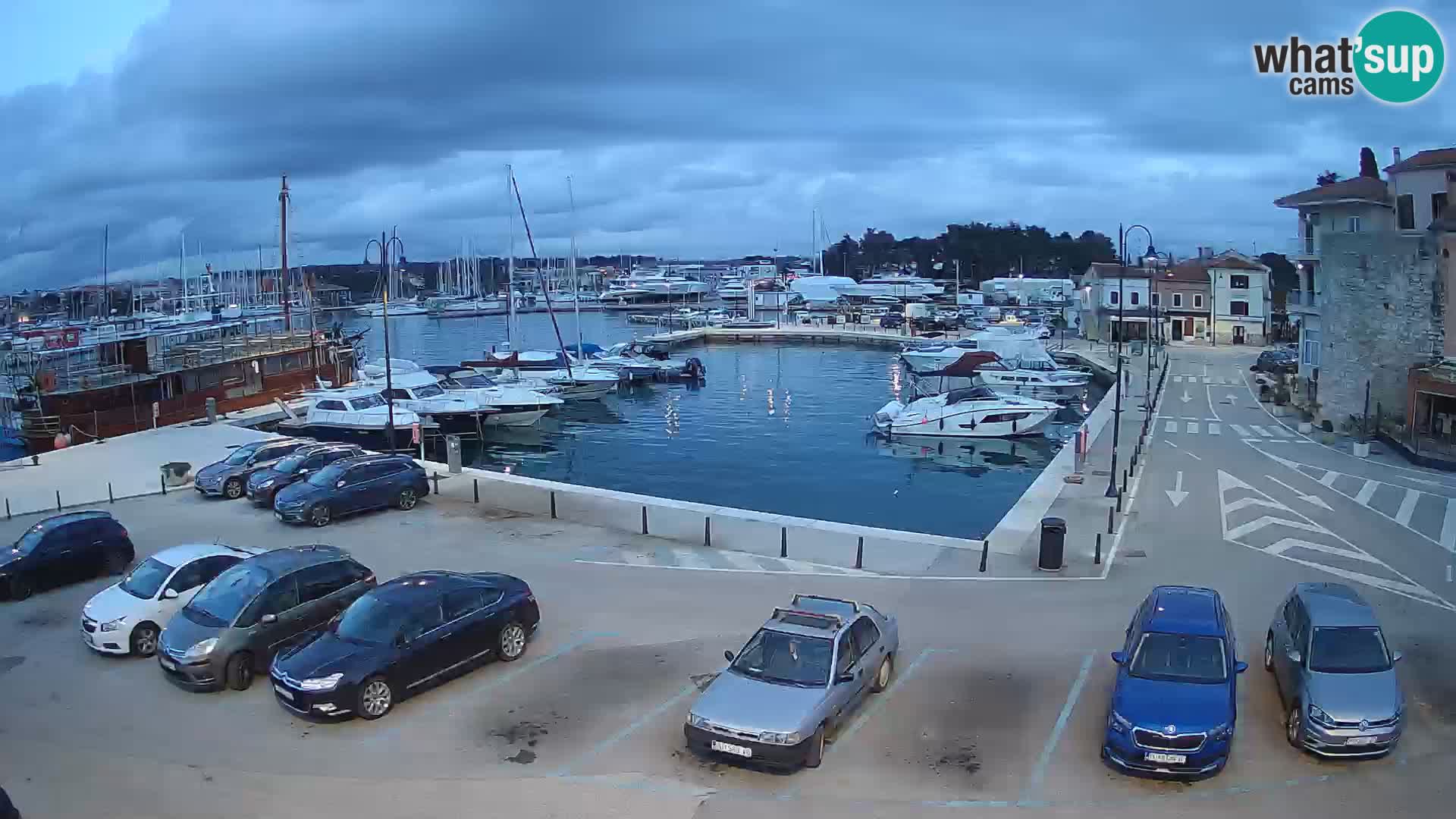 Novigrad | Porporela marina