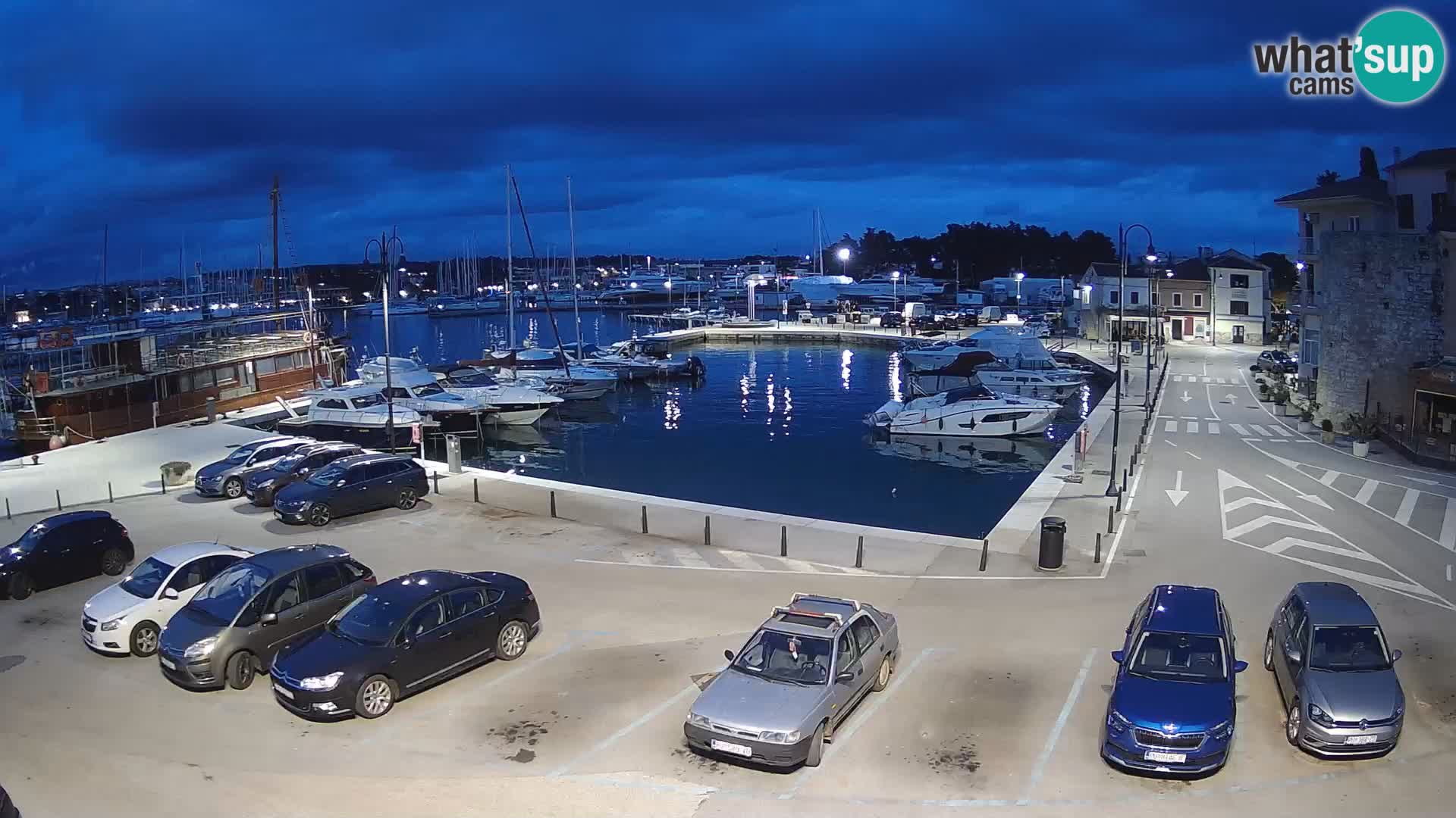 Novigrad | Porporela marina