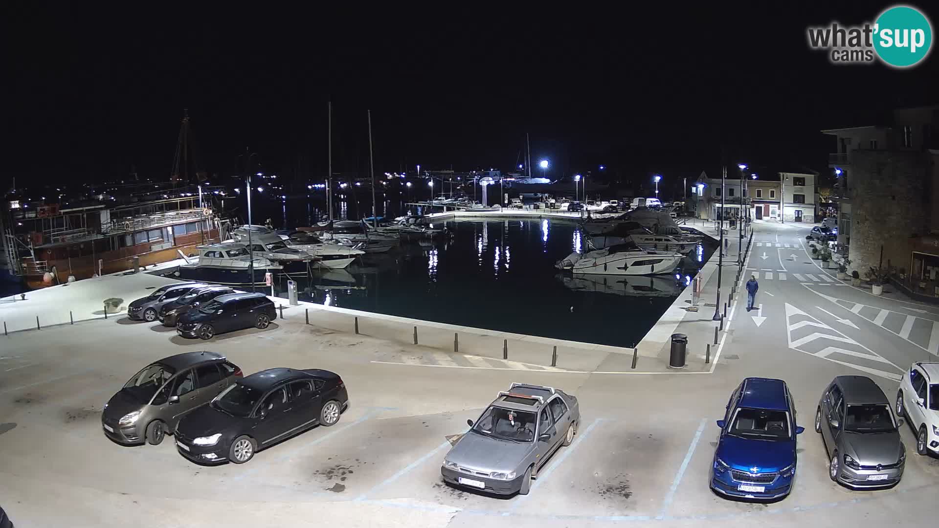 Novigrad | Porporela marina