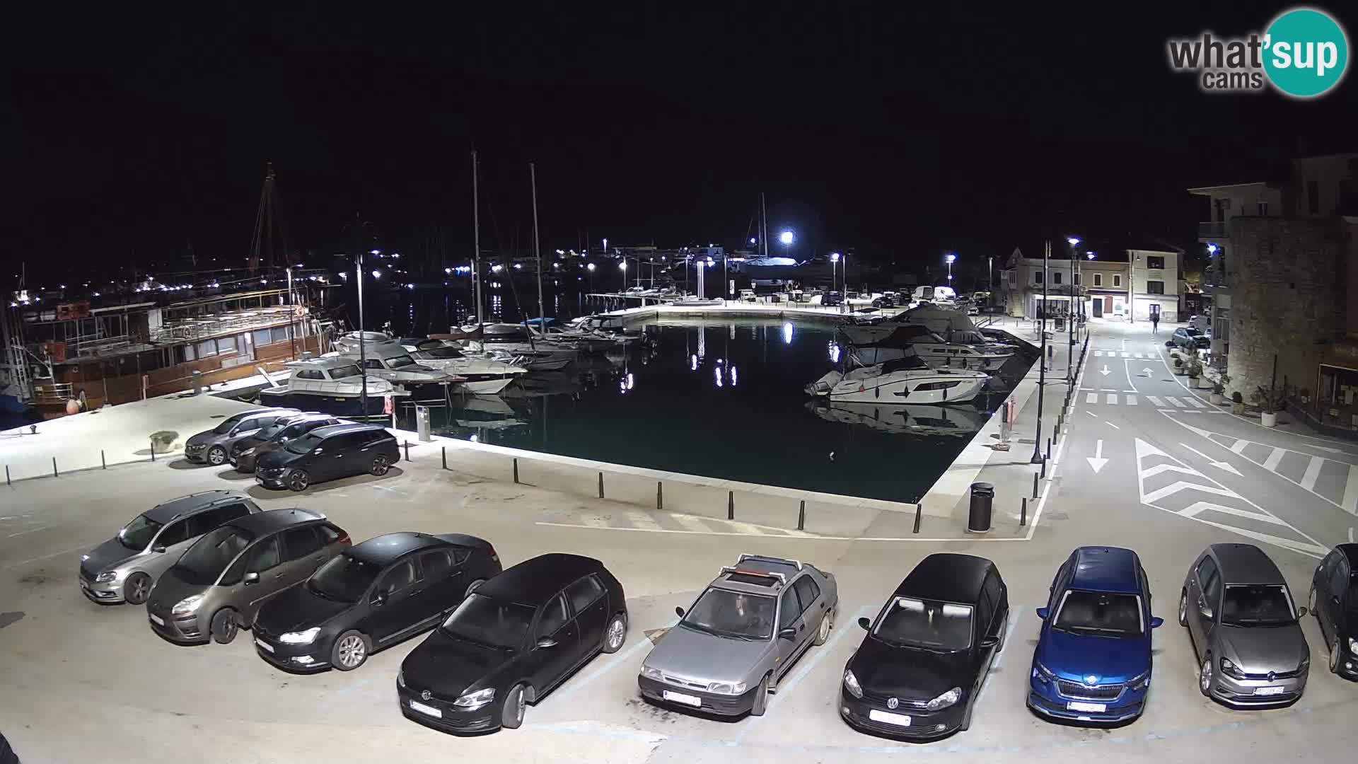 Novigrad | Porporela marina